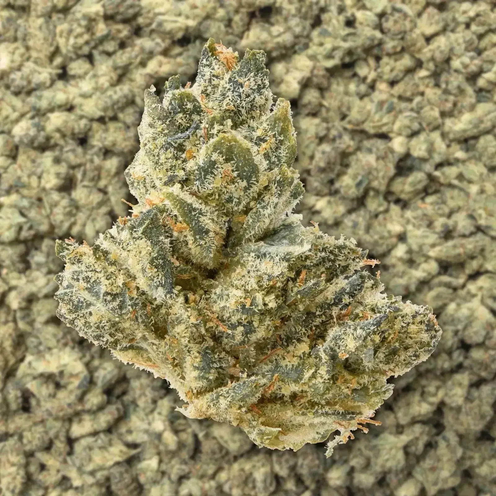 Afgooey Smalls THCa Flower - Image 3