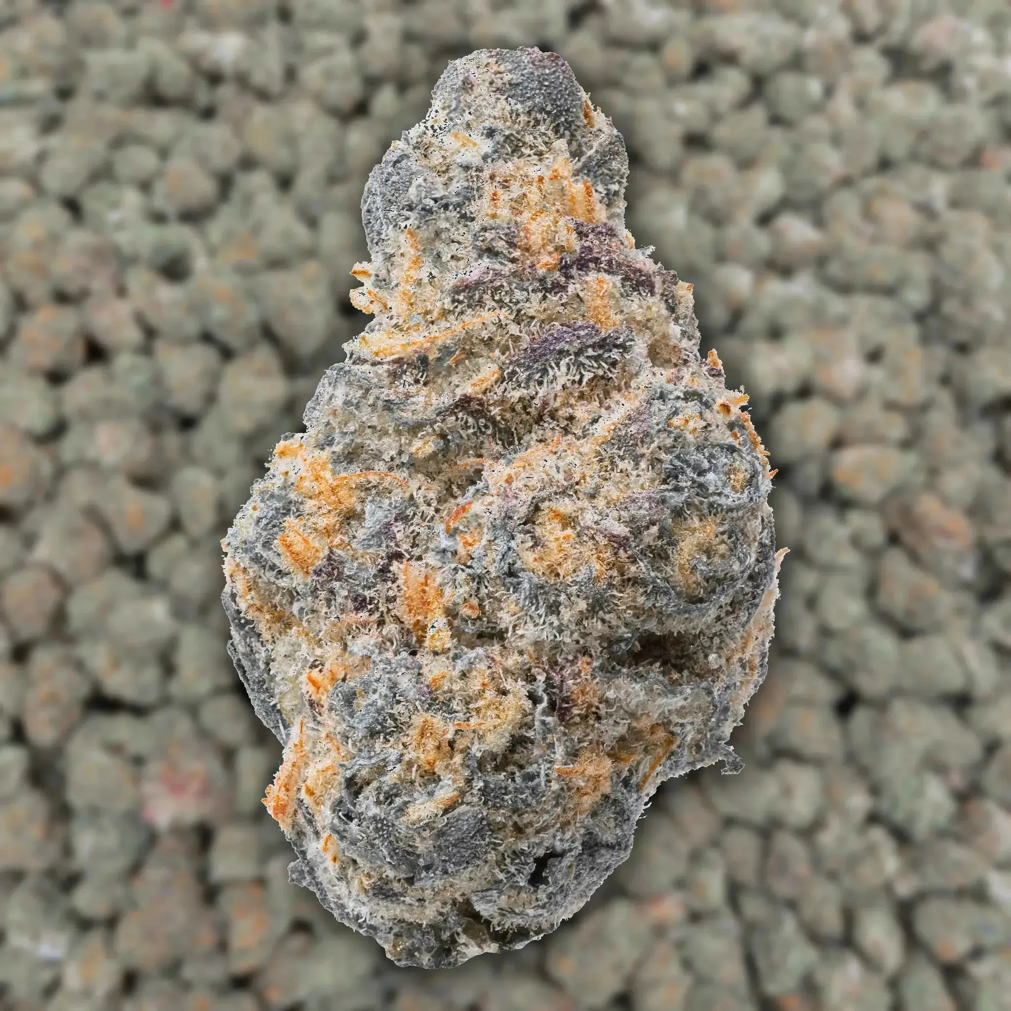 Alaskan TF Smalls THCa Flower - Image 3