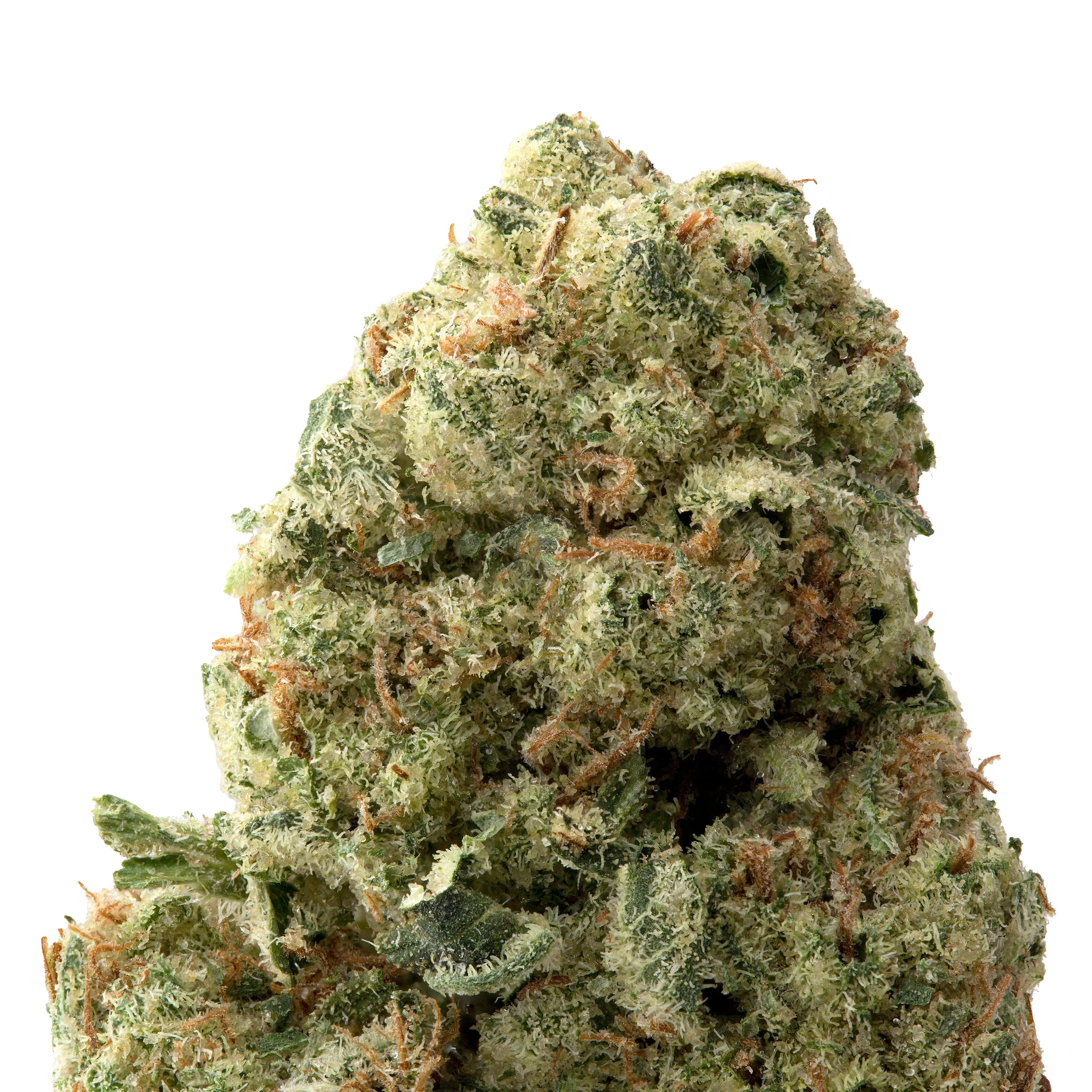 Alien OG THCa Flower