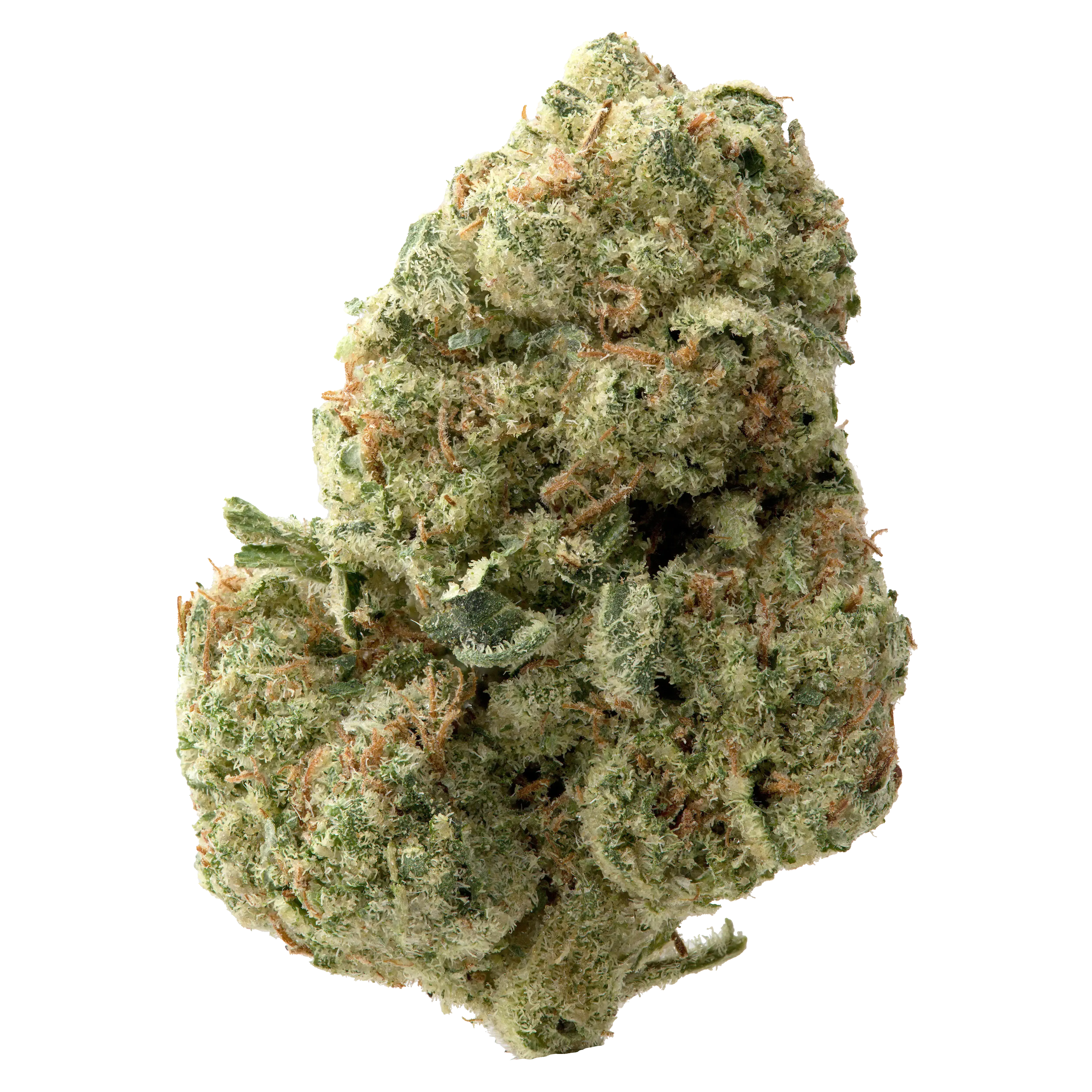 Alien OG THCa Flower - Image 2