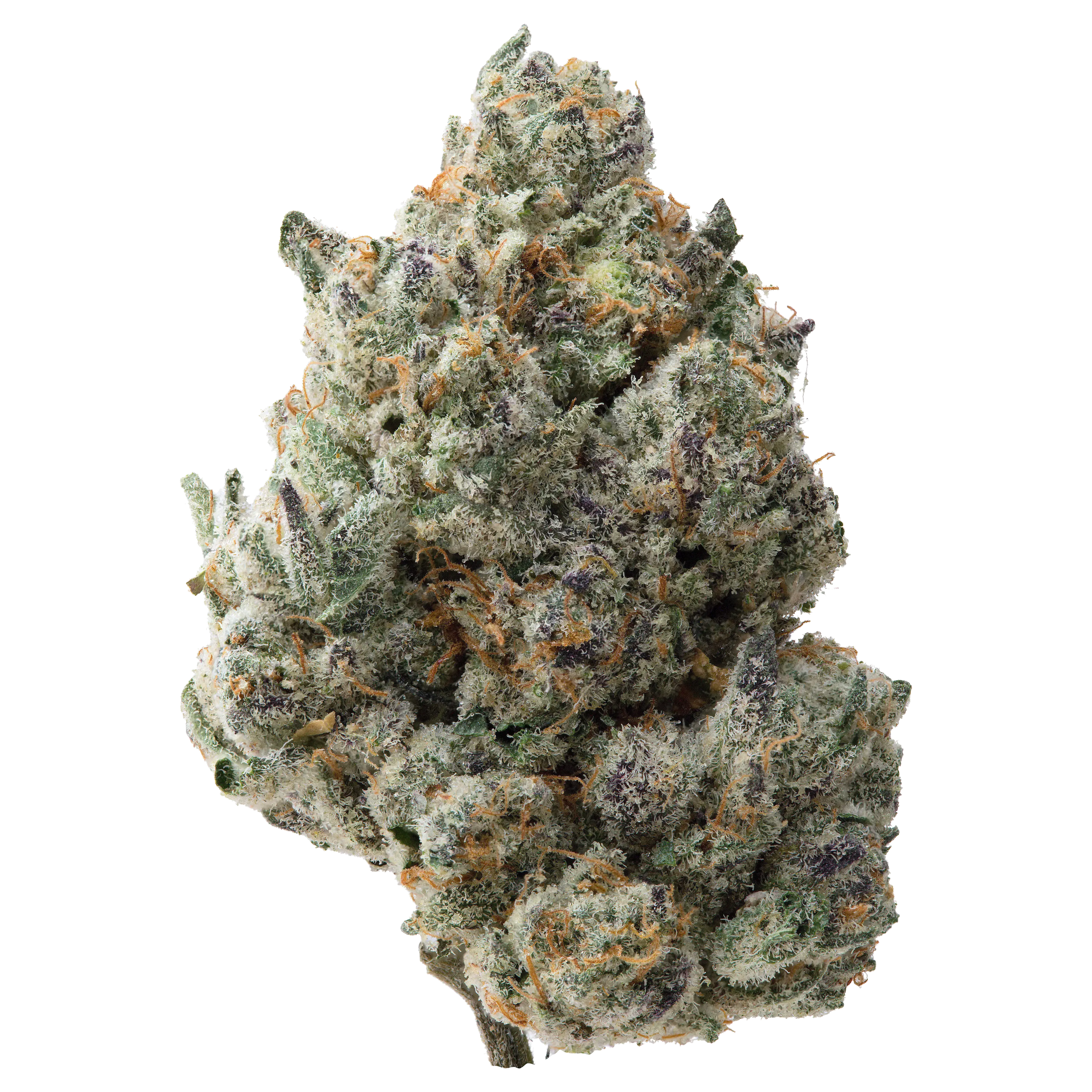 Animal Face THCa Flower - Image 2