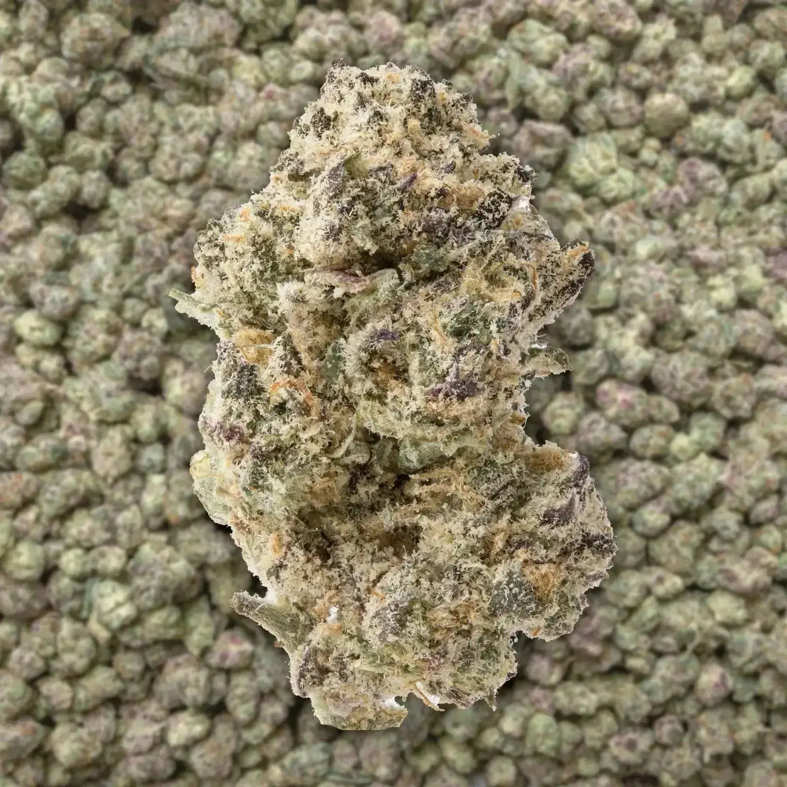 Apple Fritter Smalls THCa Flower 3.5 Grams - Image 3