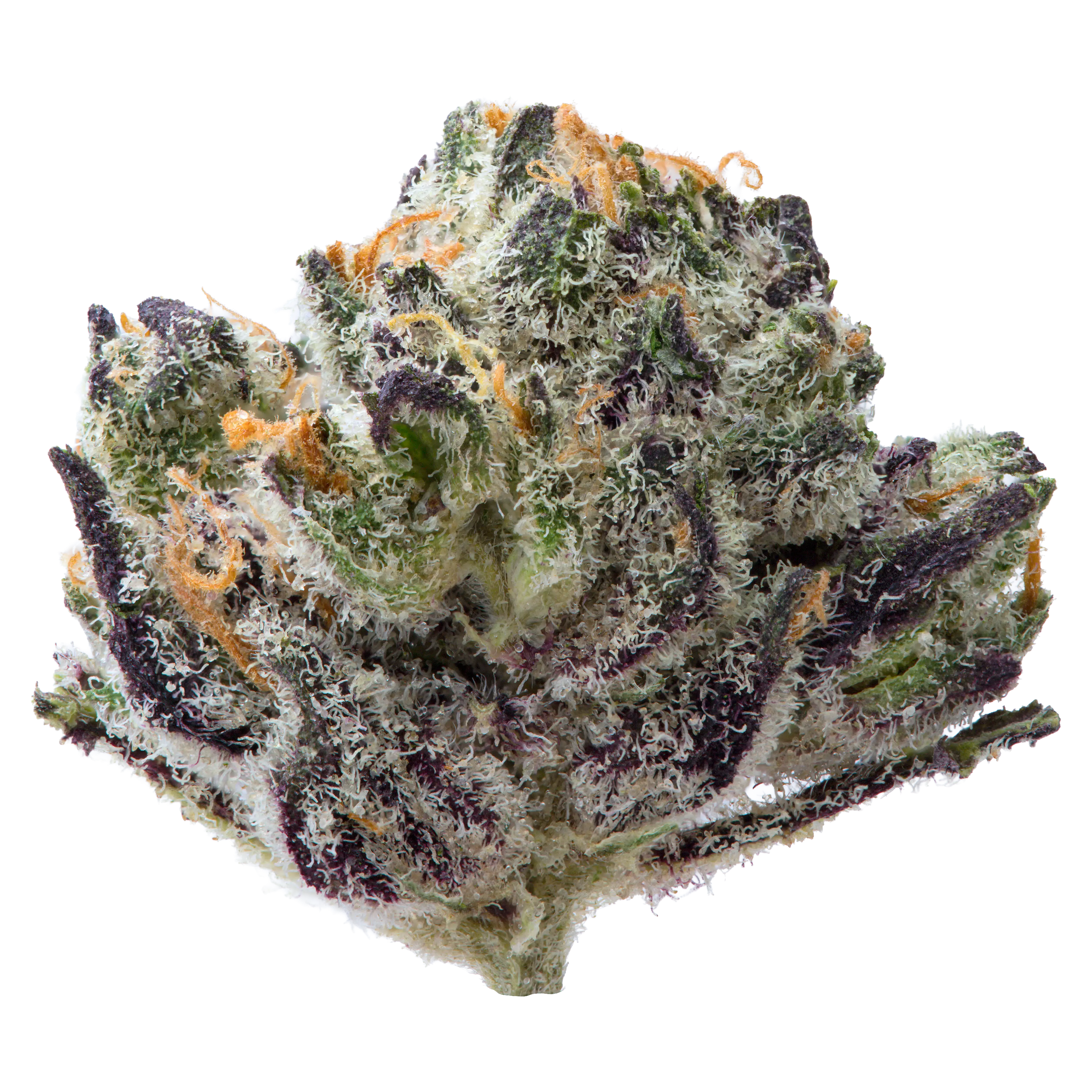 Black Amber Smalls THCA Flower - Image 2