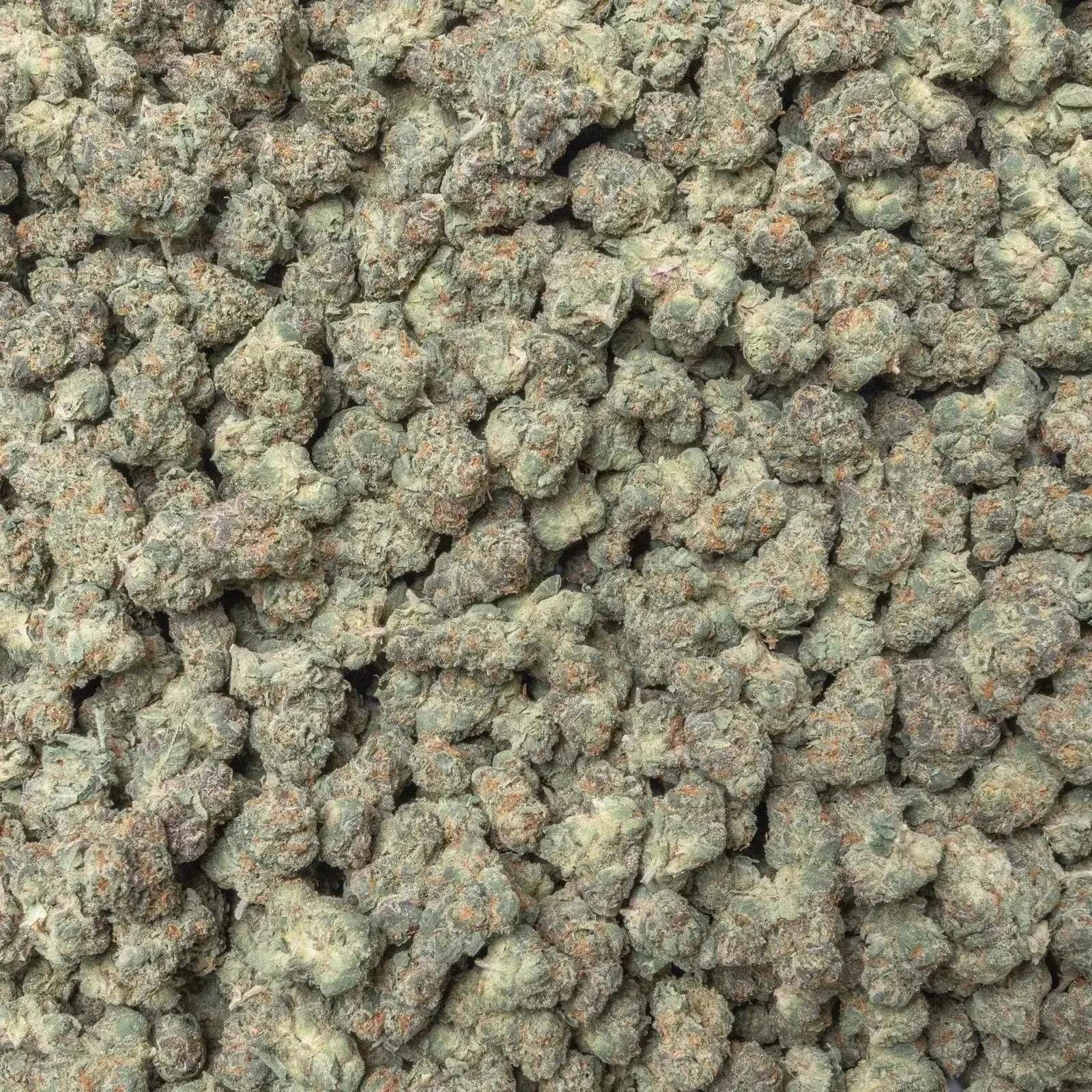 Blue Lobster Smalls THCa Flower