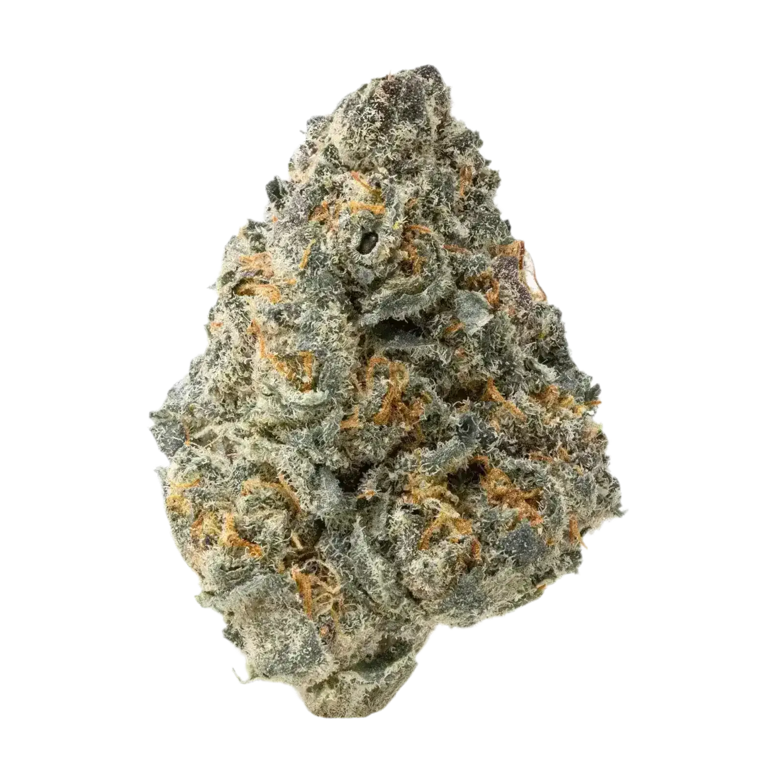 Blue Lobster Smalls THCa Flower - Image 2