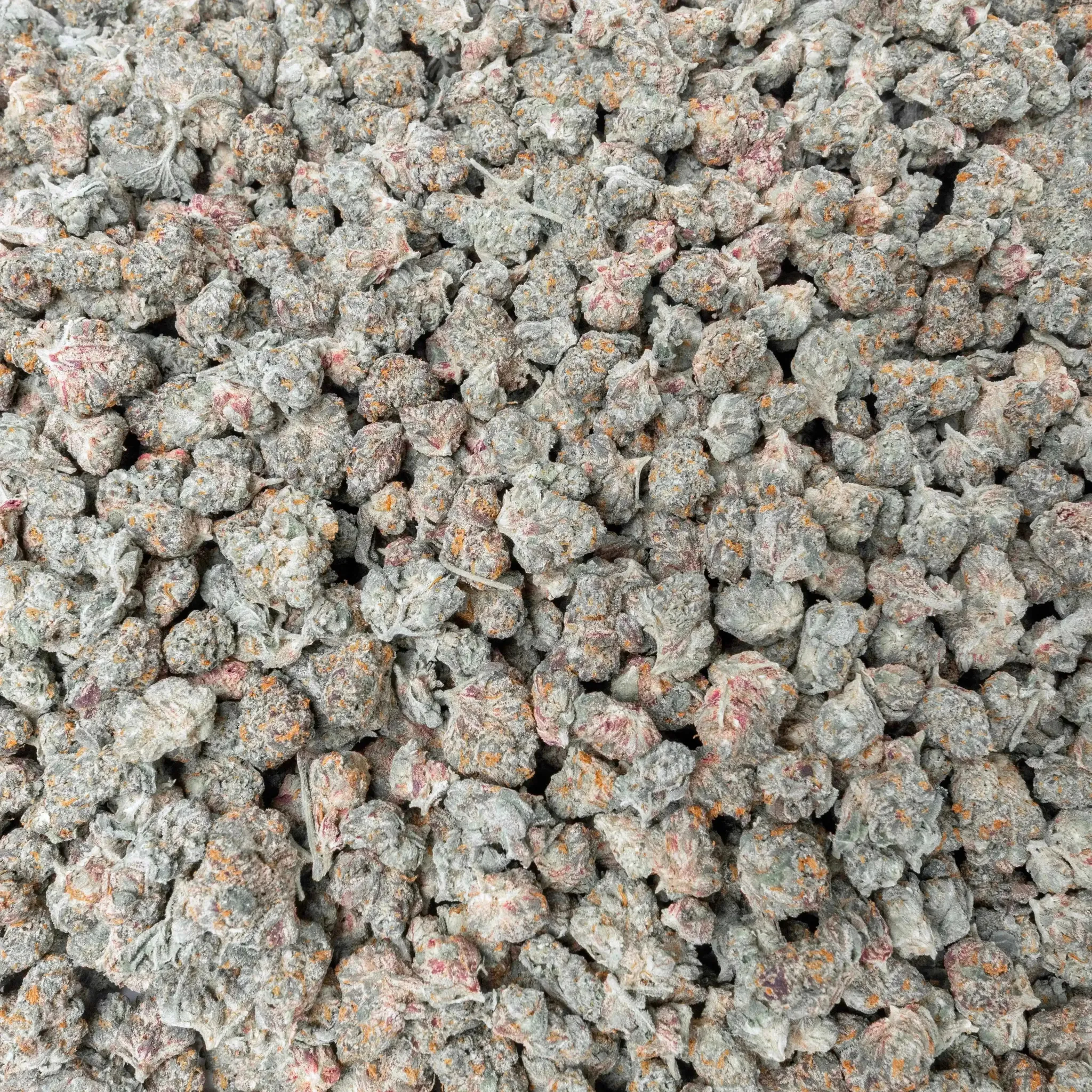 Blue Rhino Smalls THCA Flower - Image 3