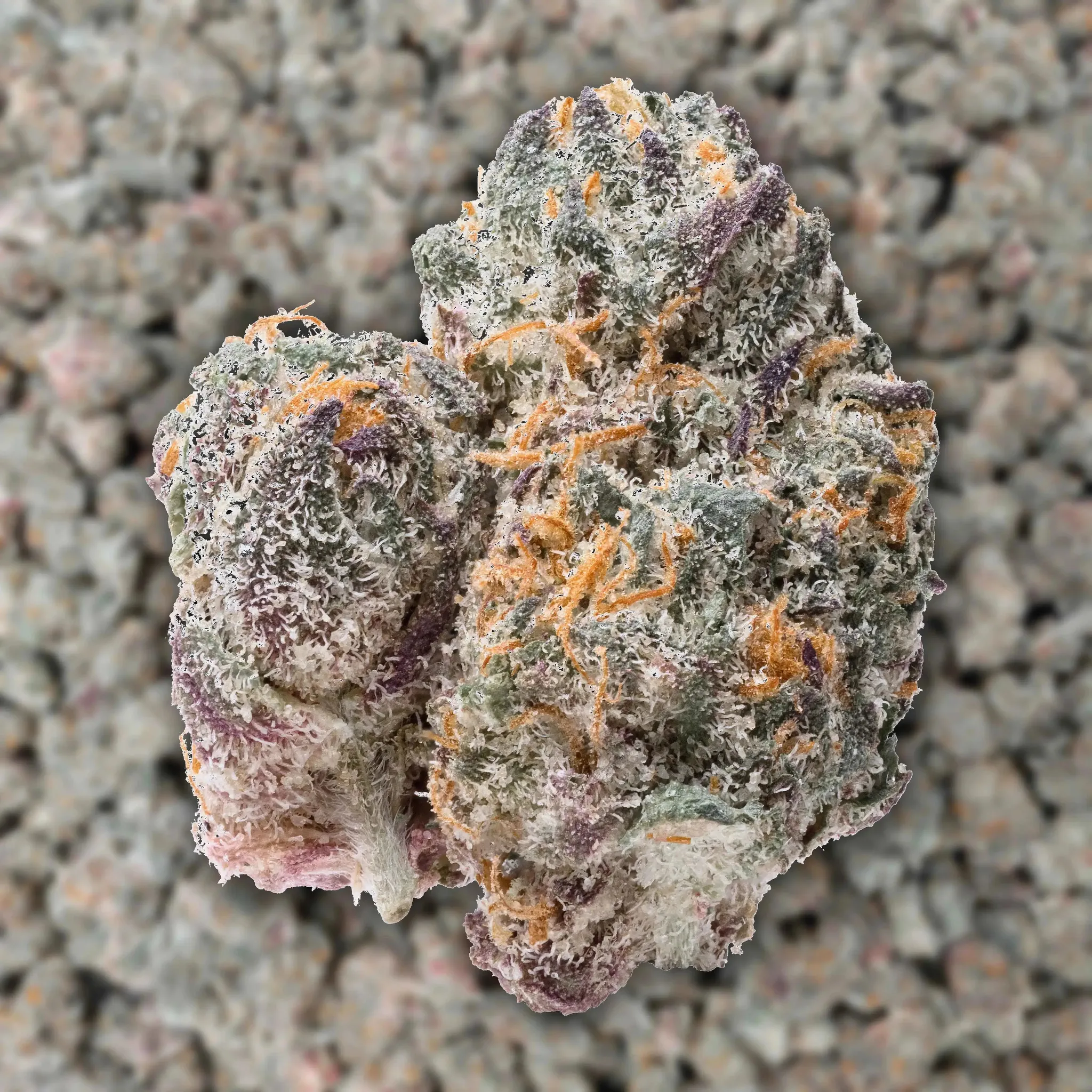 Blue Rhino Smalls THCA Flower - Image 2