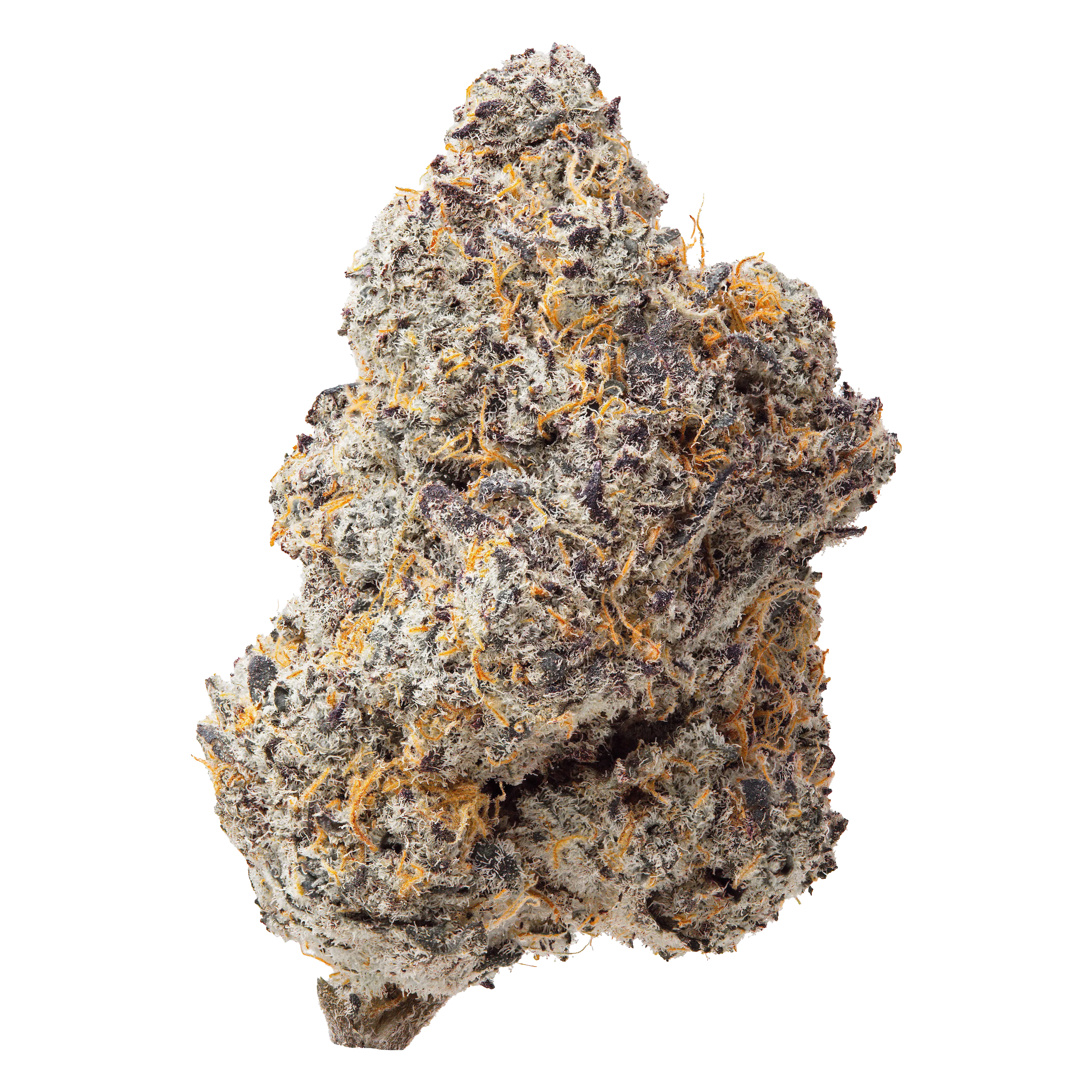 Blue Zooties THCa Flower - Image 2