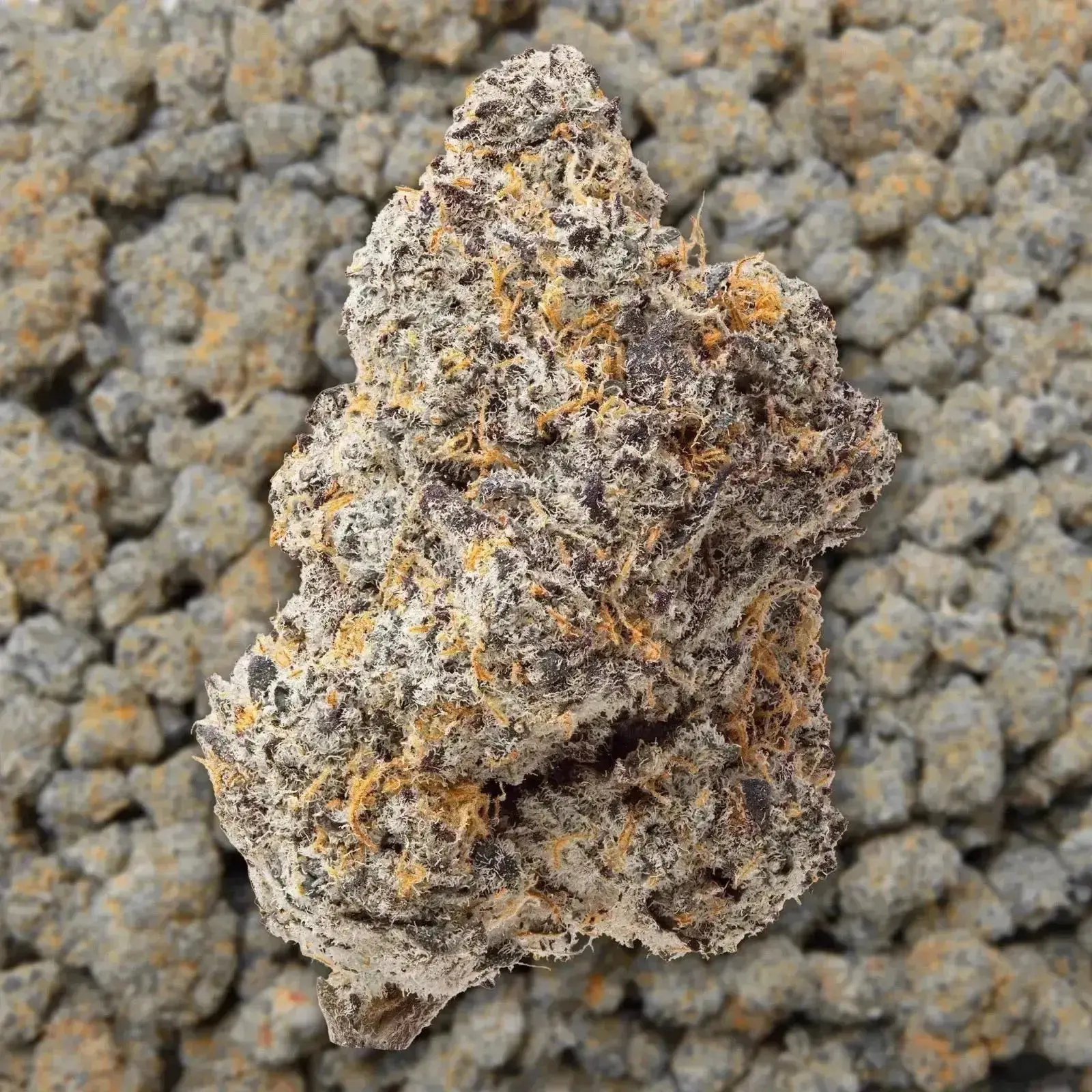 Blue Zooties THCa Flower Ounce - Image 3