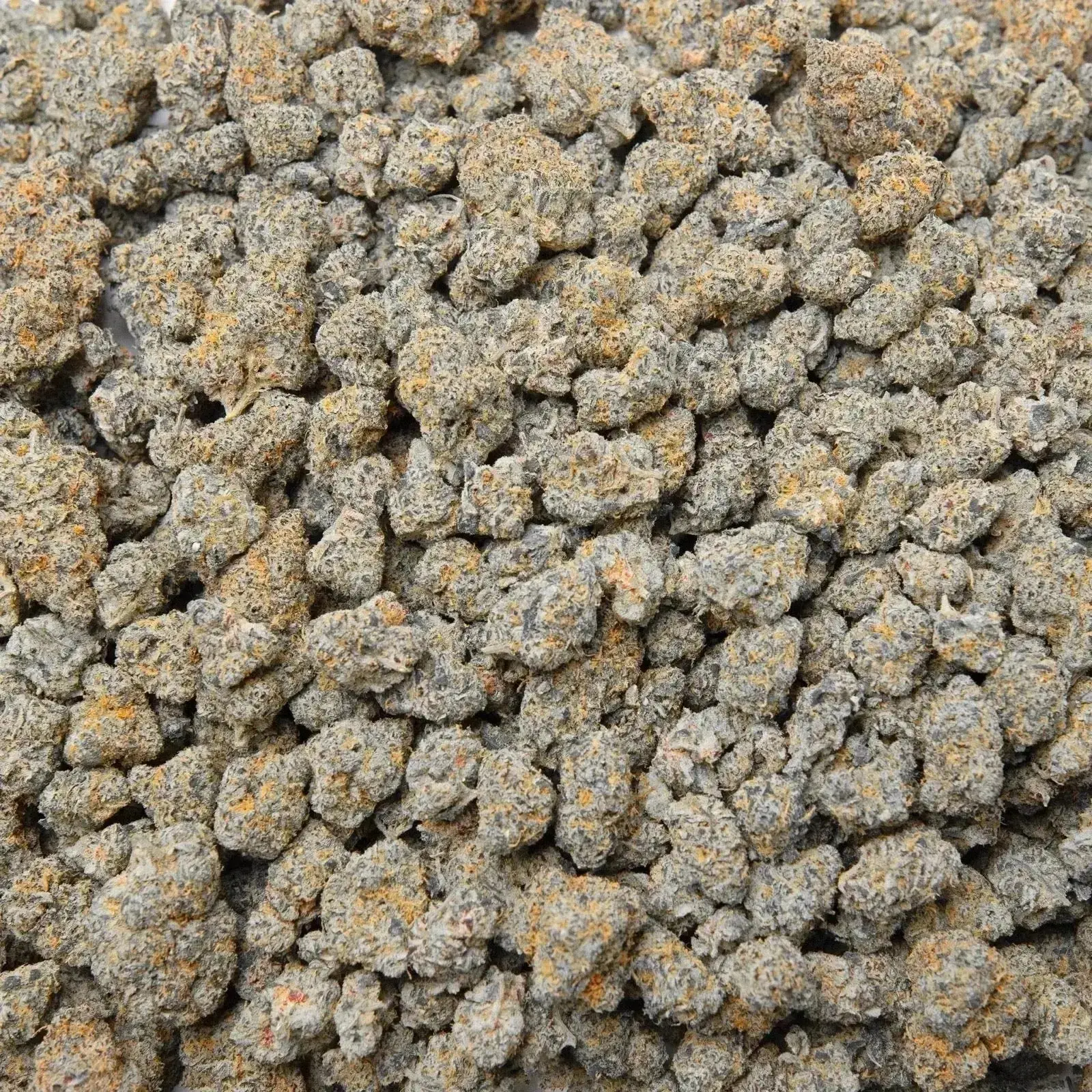 Blue Zooties THCa Flower Ounce - Image 4
