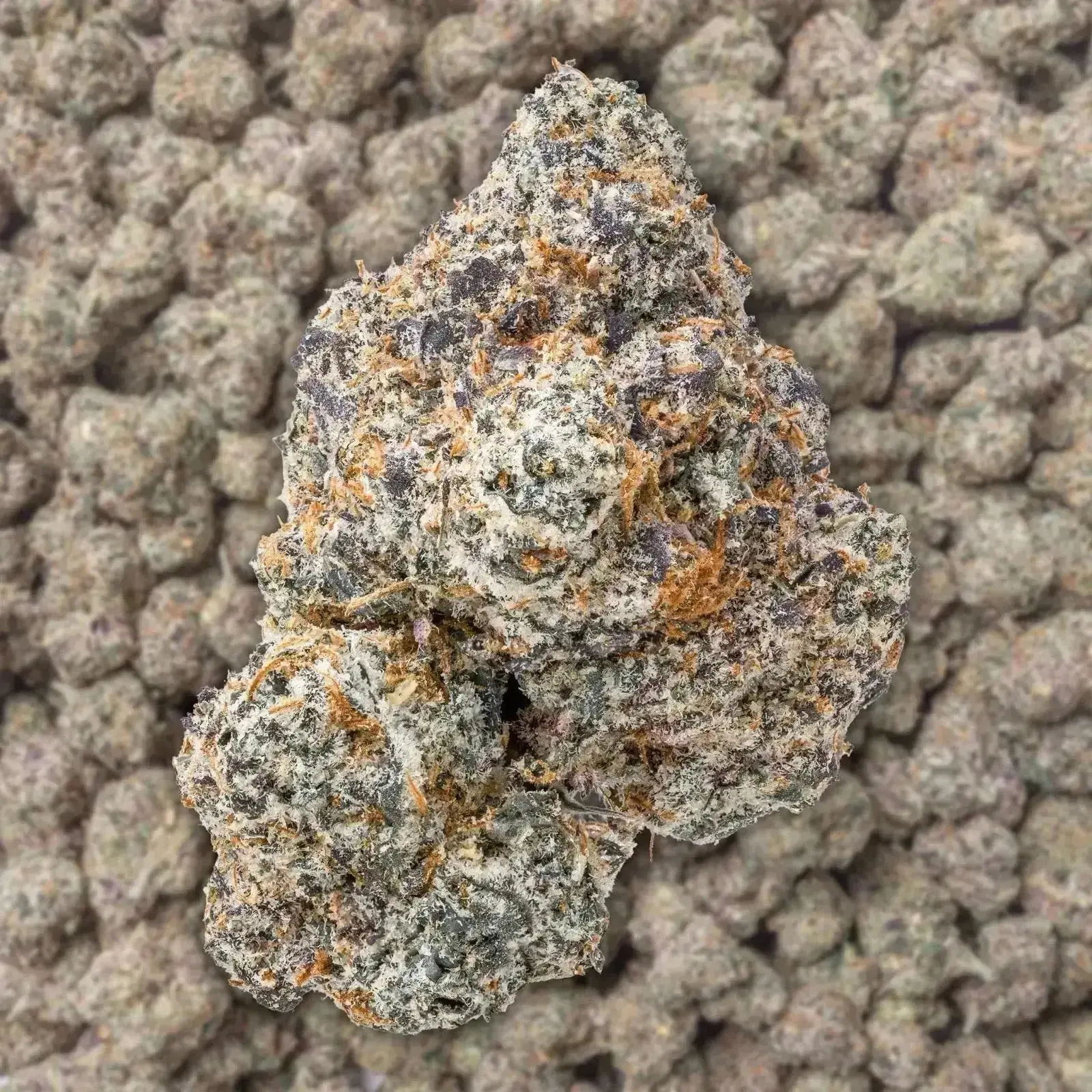 Brat Berry THCa Flower Ounce - Image 2