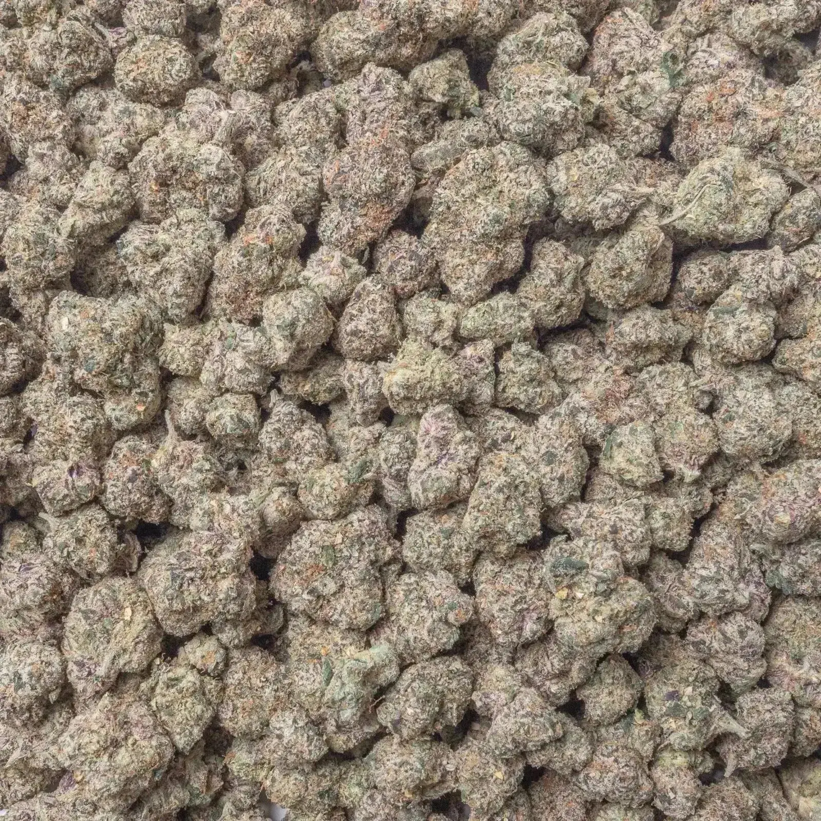 Brat Berry THCa Flower Ounce - Image 3