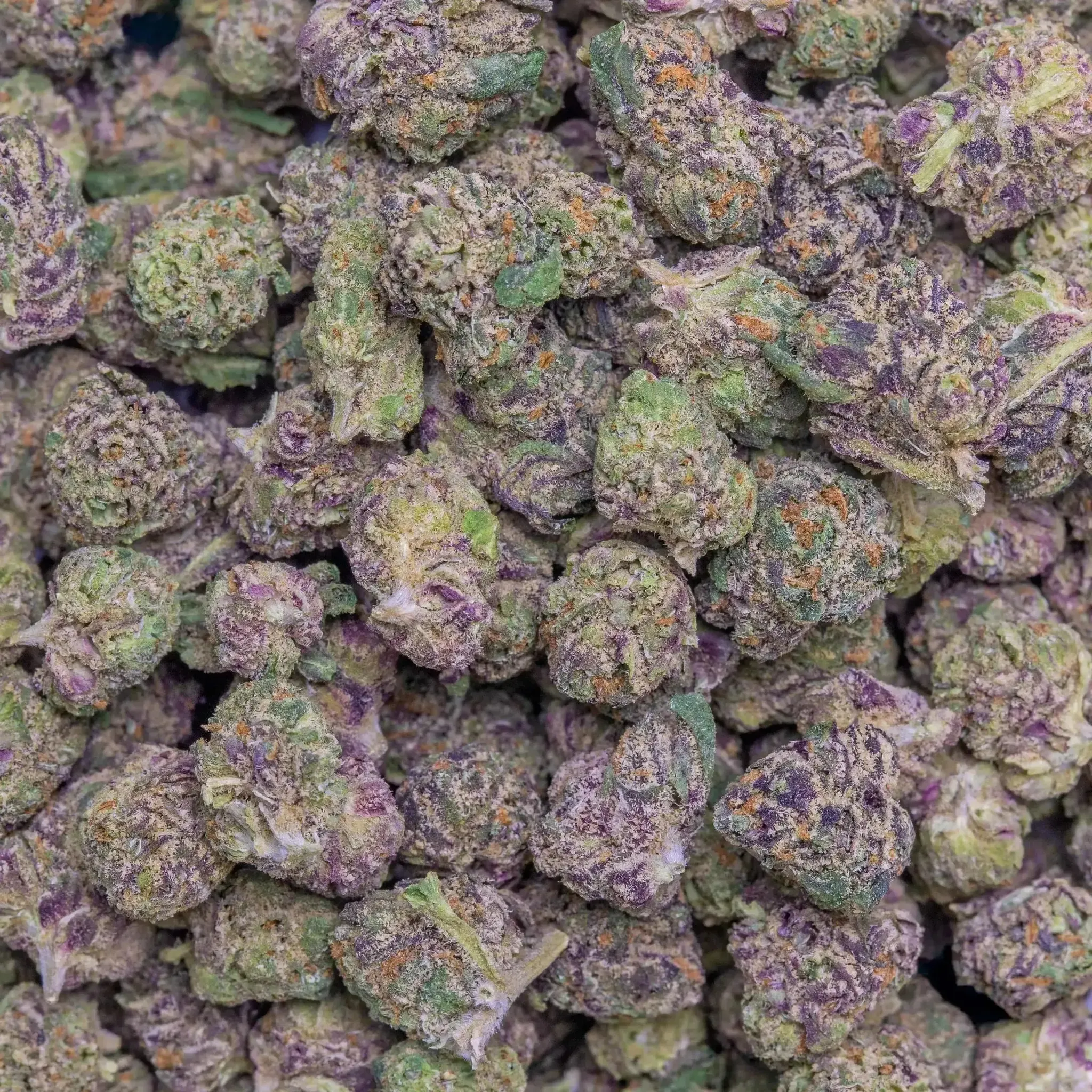 Burst THCa Flower - Image 3