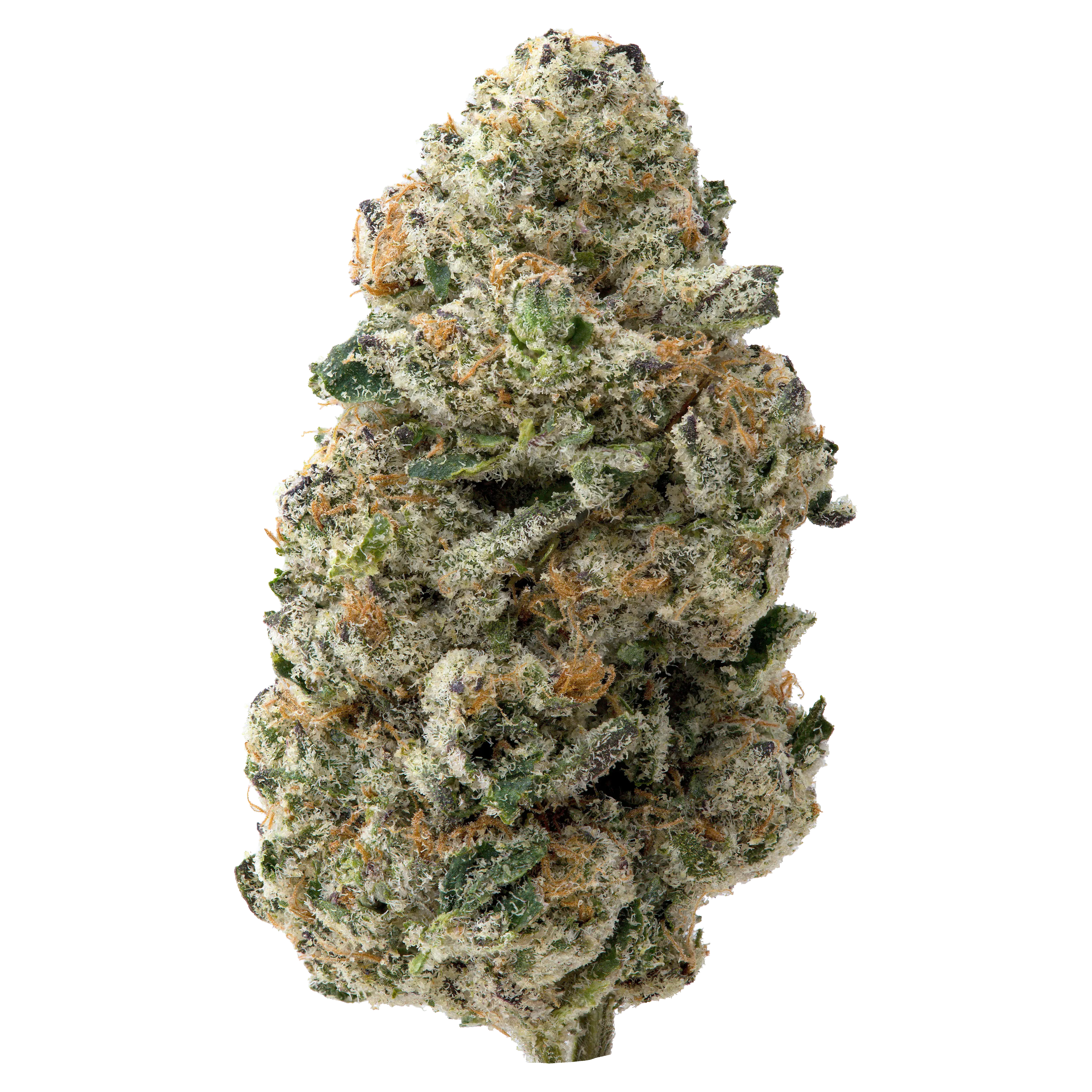 Colombian Gold THCa Flower - Image 2