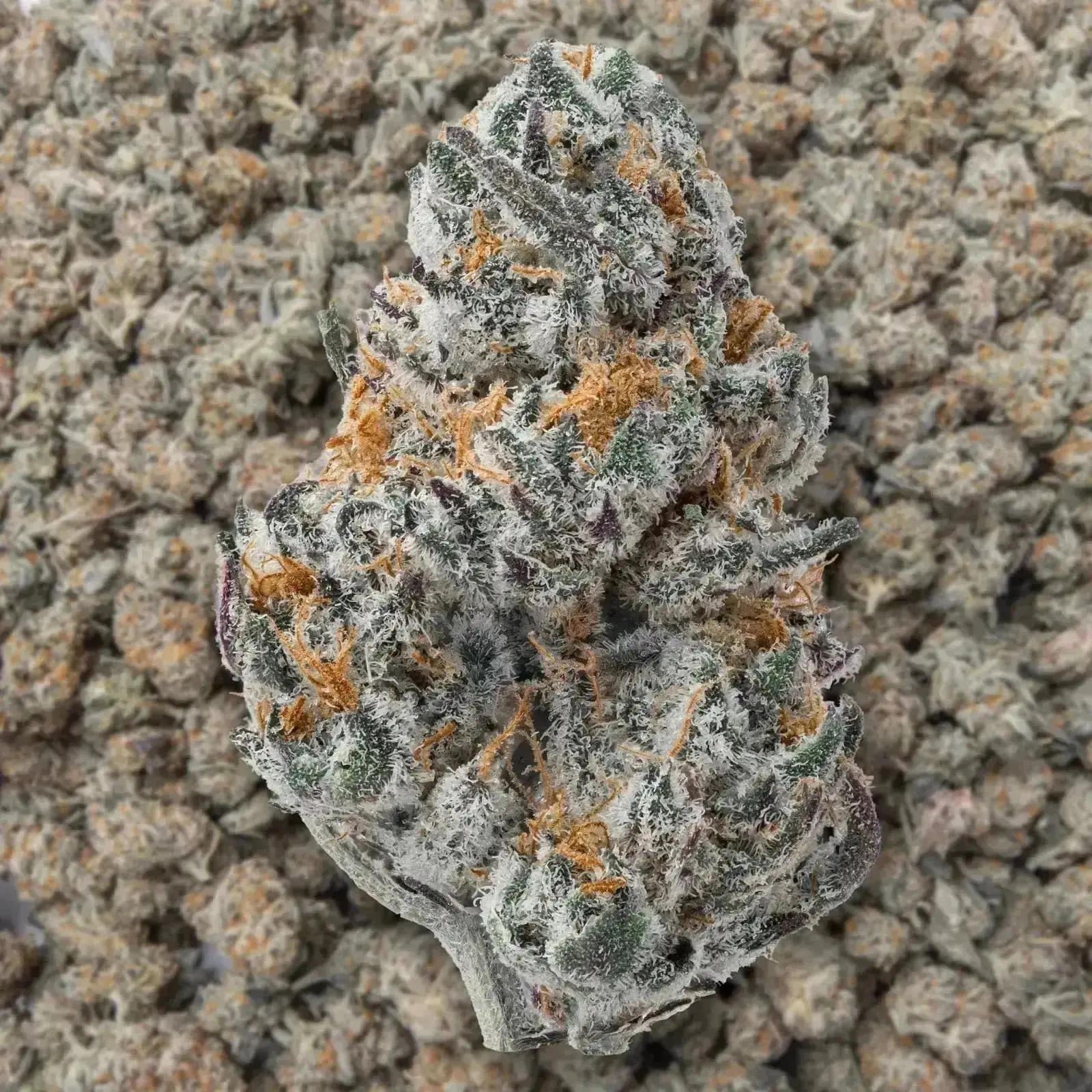 Cookies And Cream Smalls THCa Flower - Image 3
