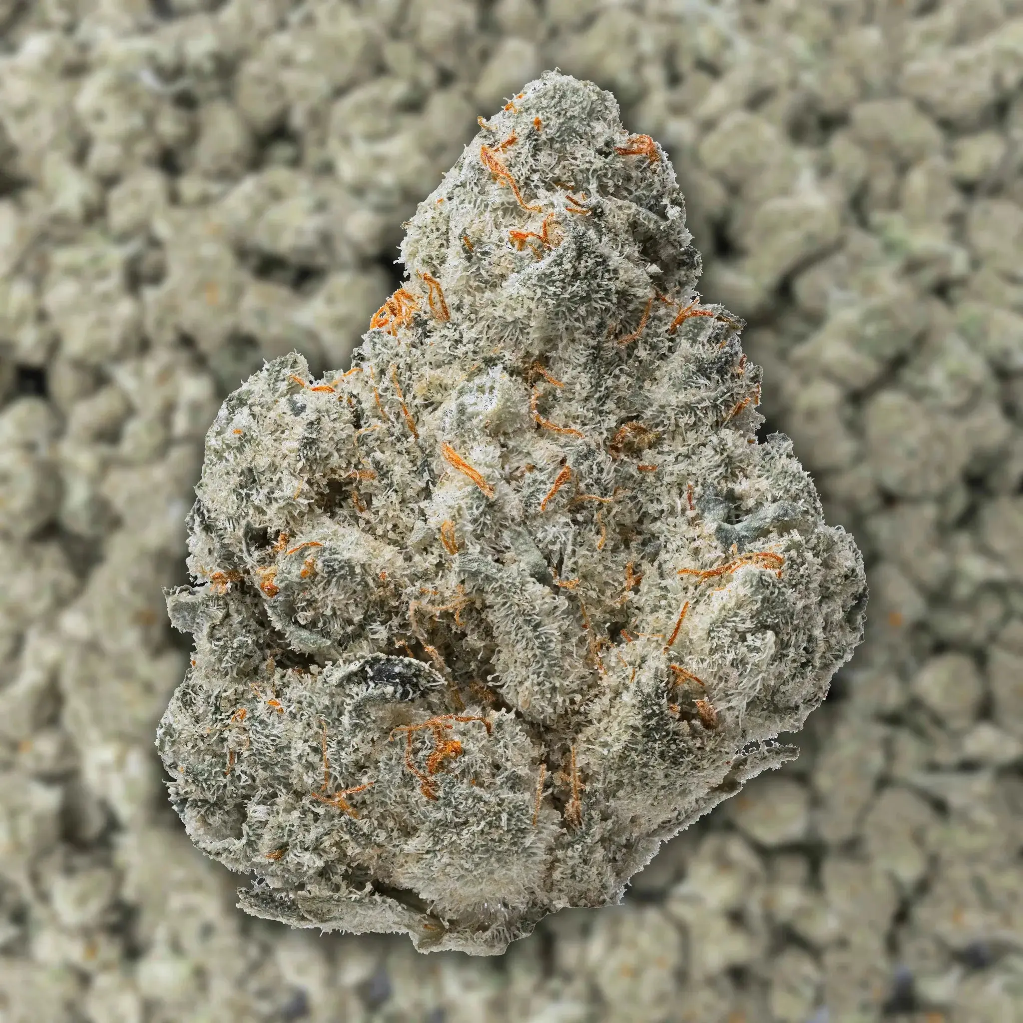 Durban Poison Smalls THCa Flower Ounce - Image 3