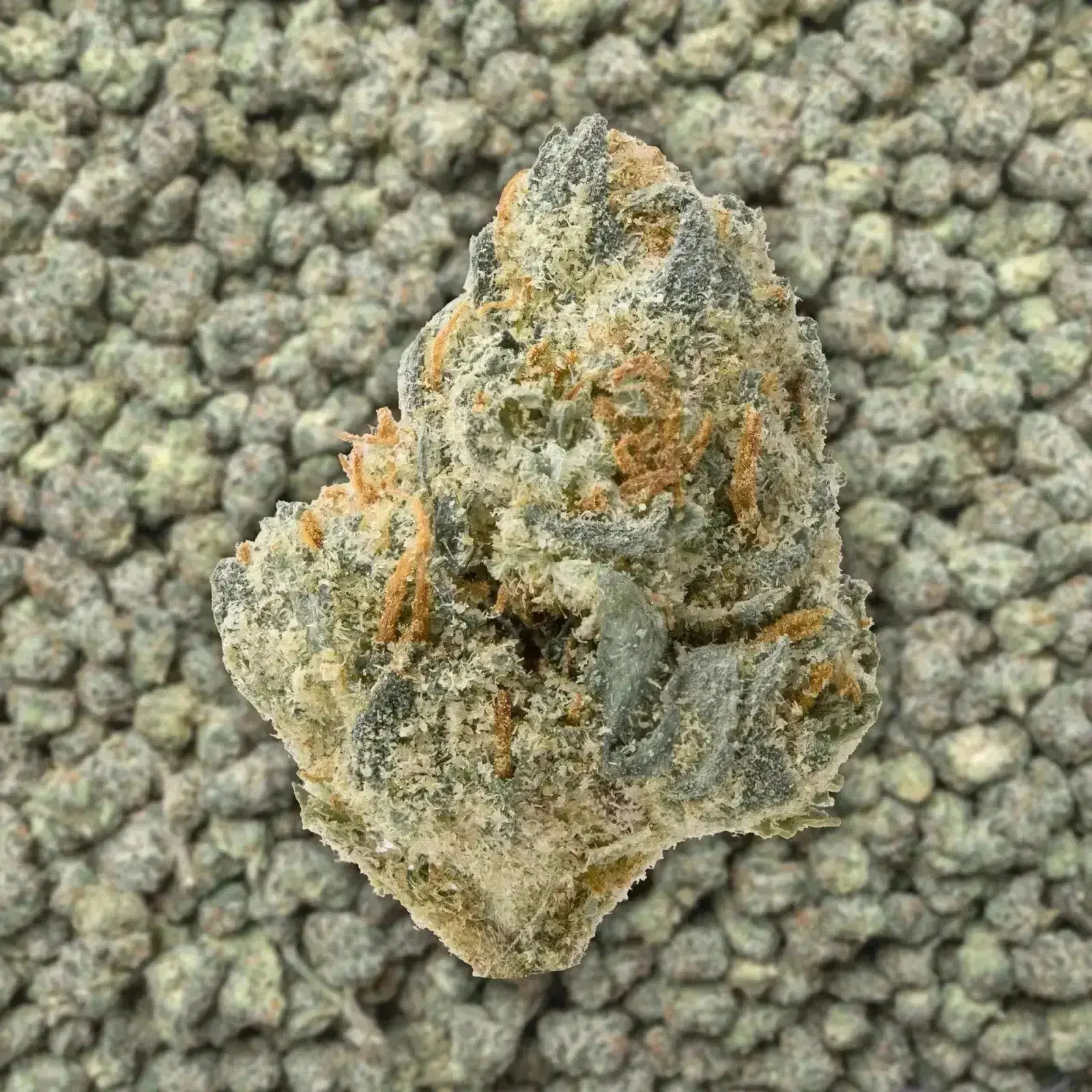 Electric Kool Aid Smalls THCa Flower - Image 3