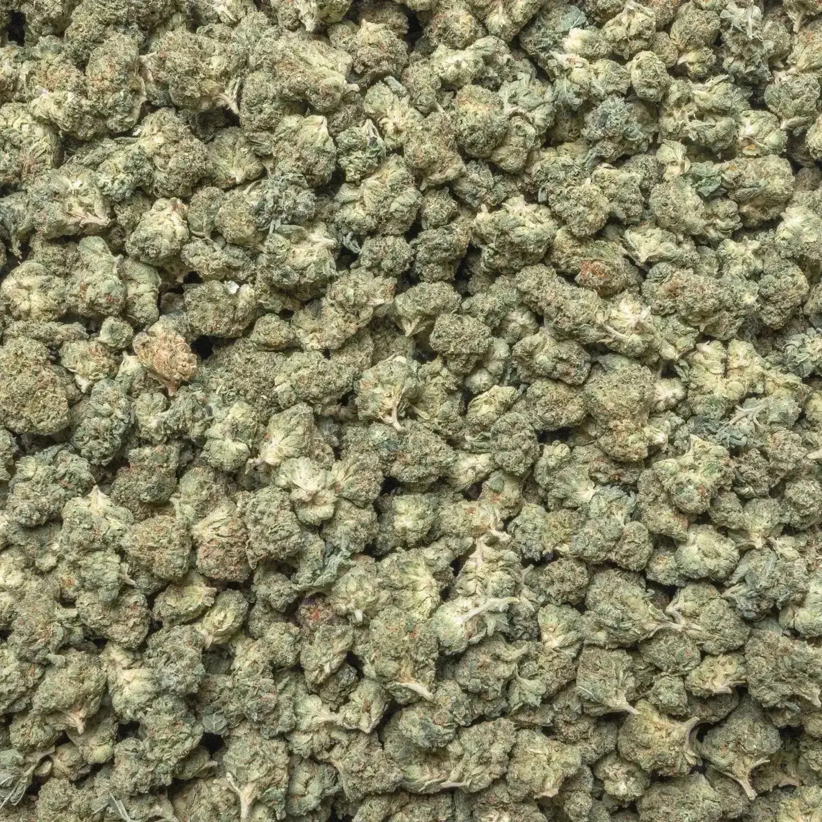 G-Force Smalls THCa Flower Ounce