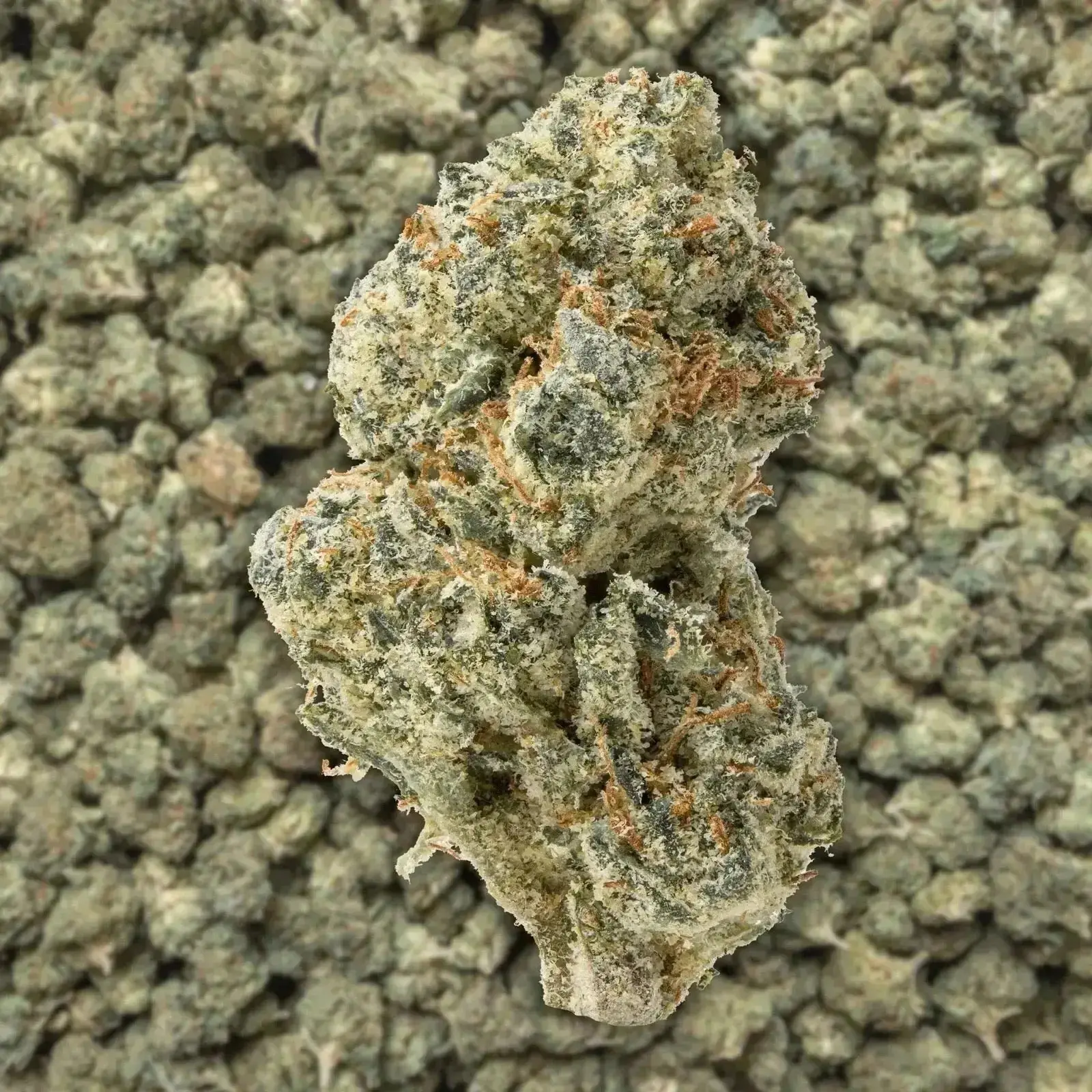 G-Force Smalls THCa Flower Ounce - Image 3