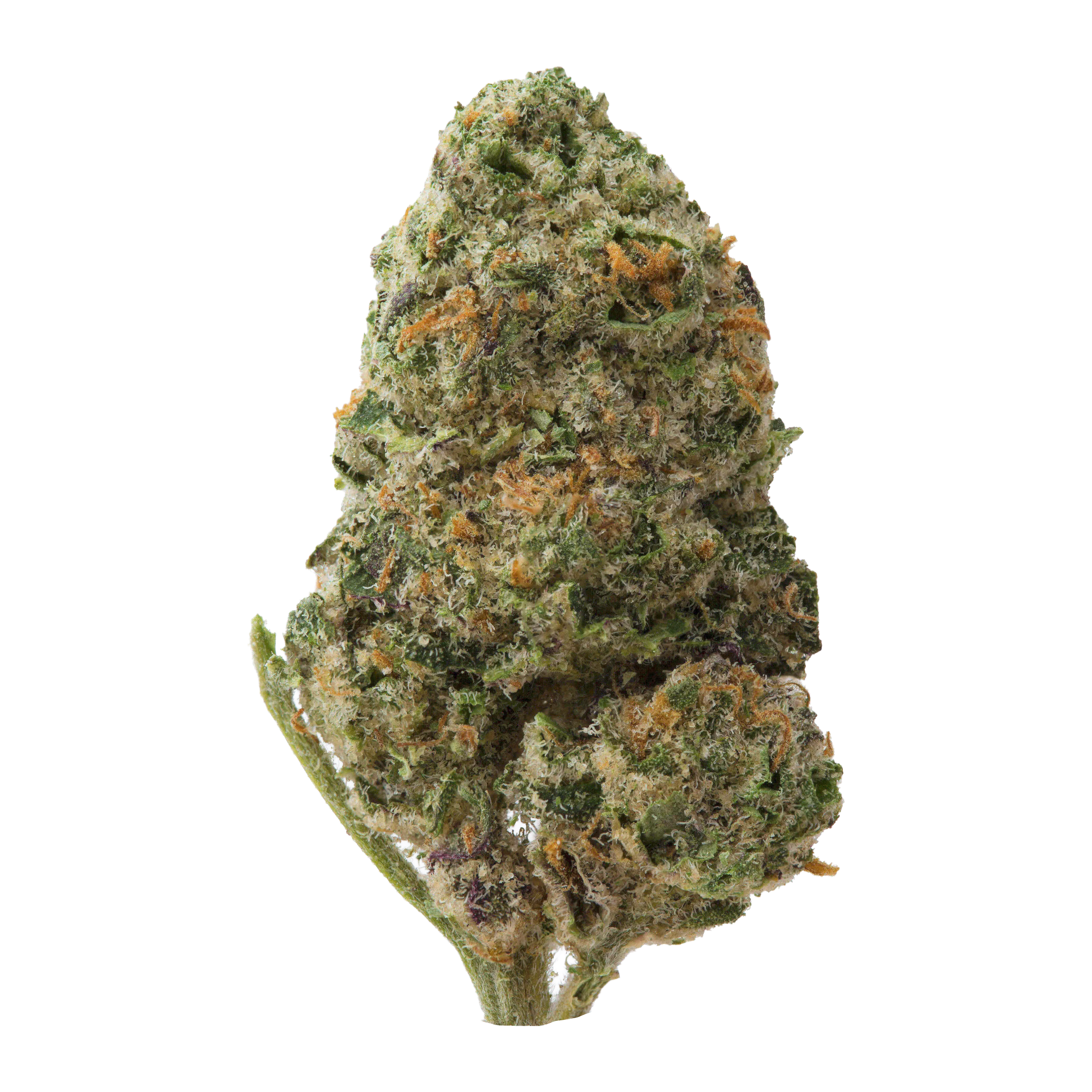 Gary Payton Smalls THCa Flower - Image 2
