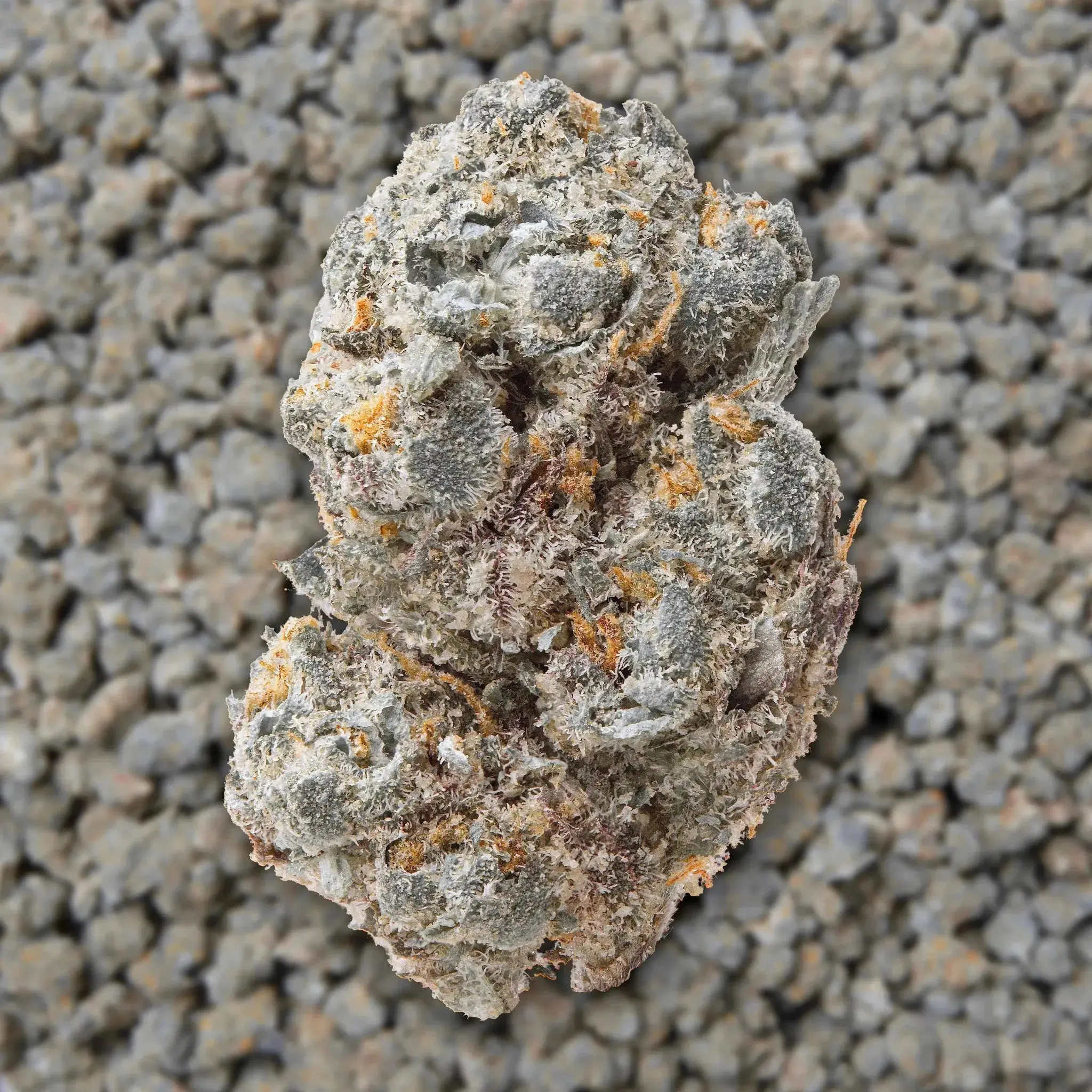 Gary Payton Smalls THCa Flower - Image 3