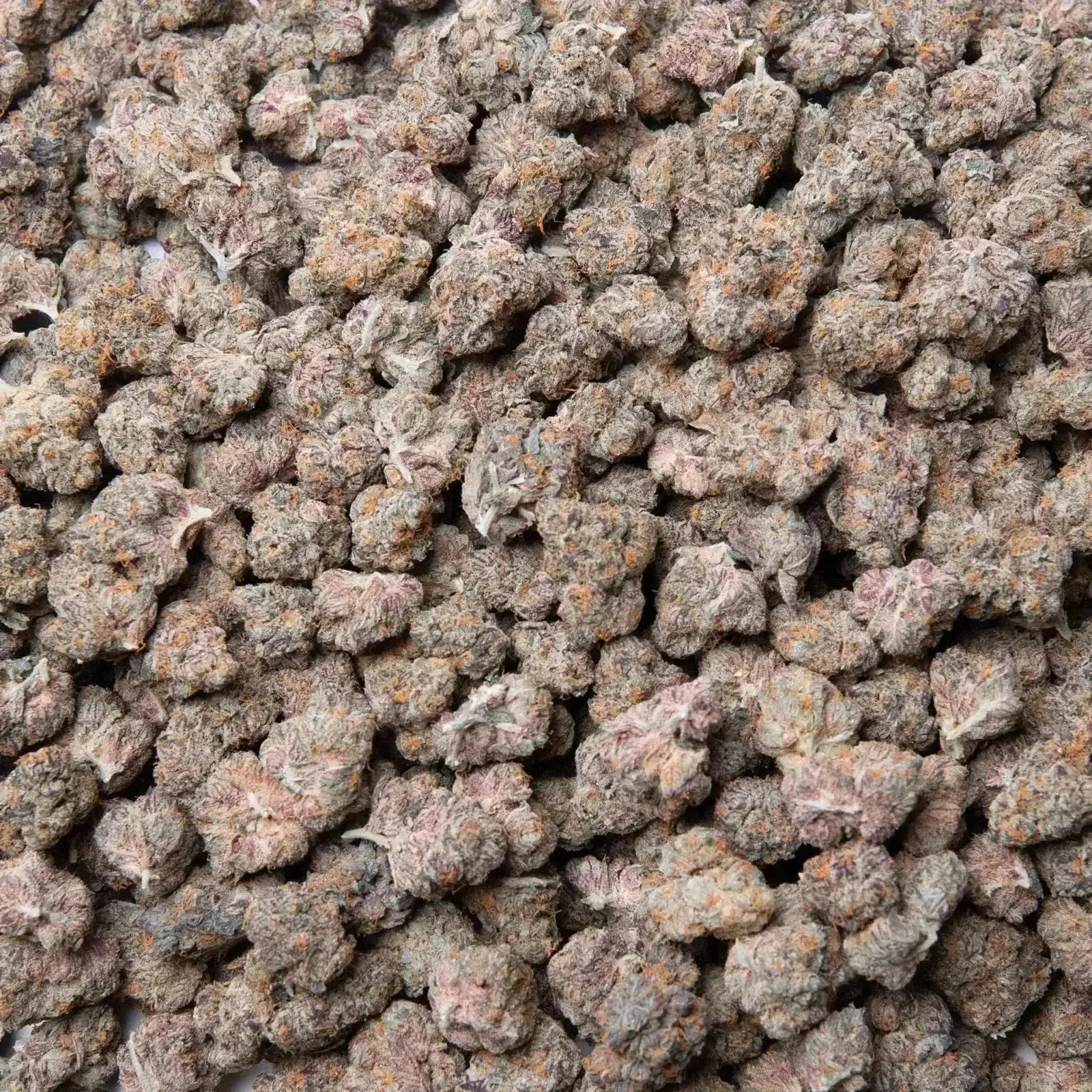 Gary Payton THCa Flower Ounce - Image 4