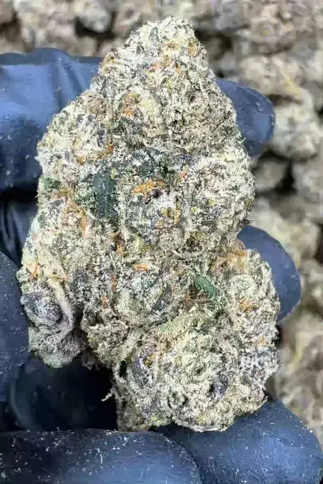 Gas Mask THCa Flower - Image 10