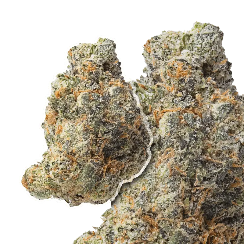 Gelato 33 THCa Flower - Image 4