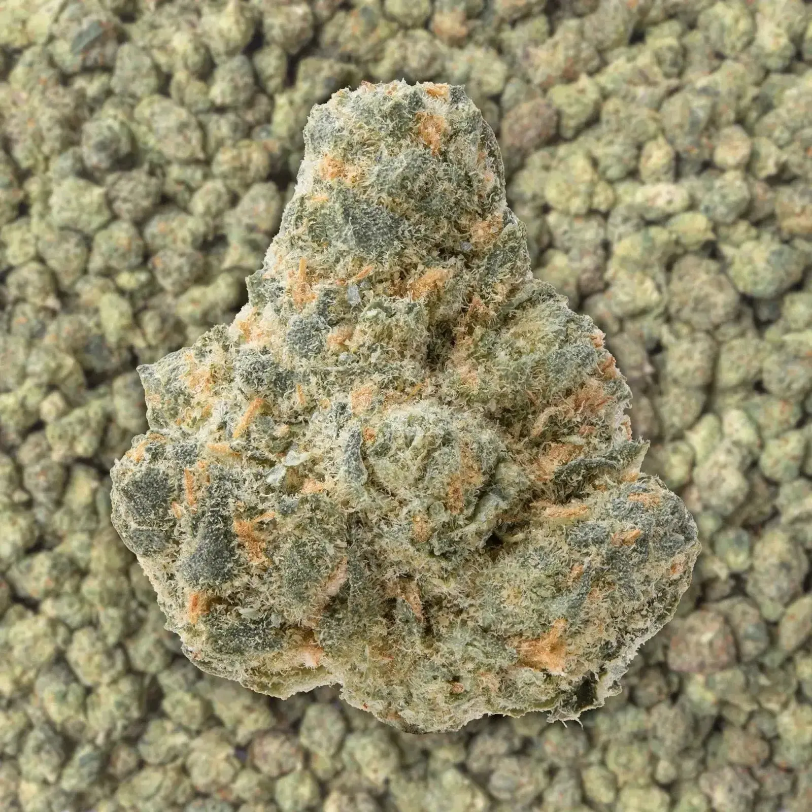 Gelato Cream Smalls THCa Flower Ounce - Image 3