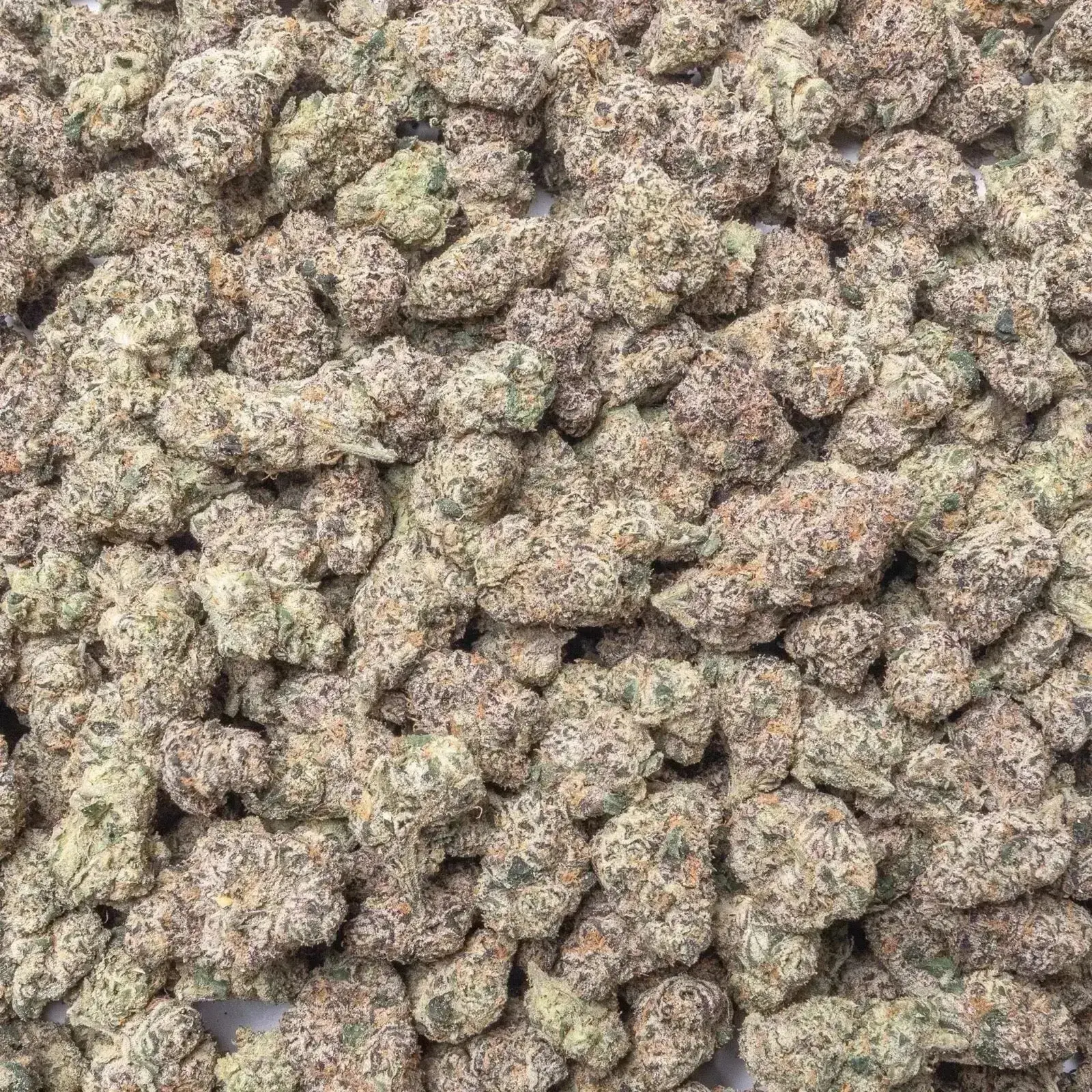 Glitter Bomb THCa Flower Ounce - Image 5