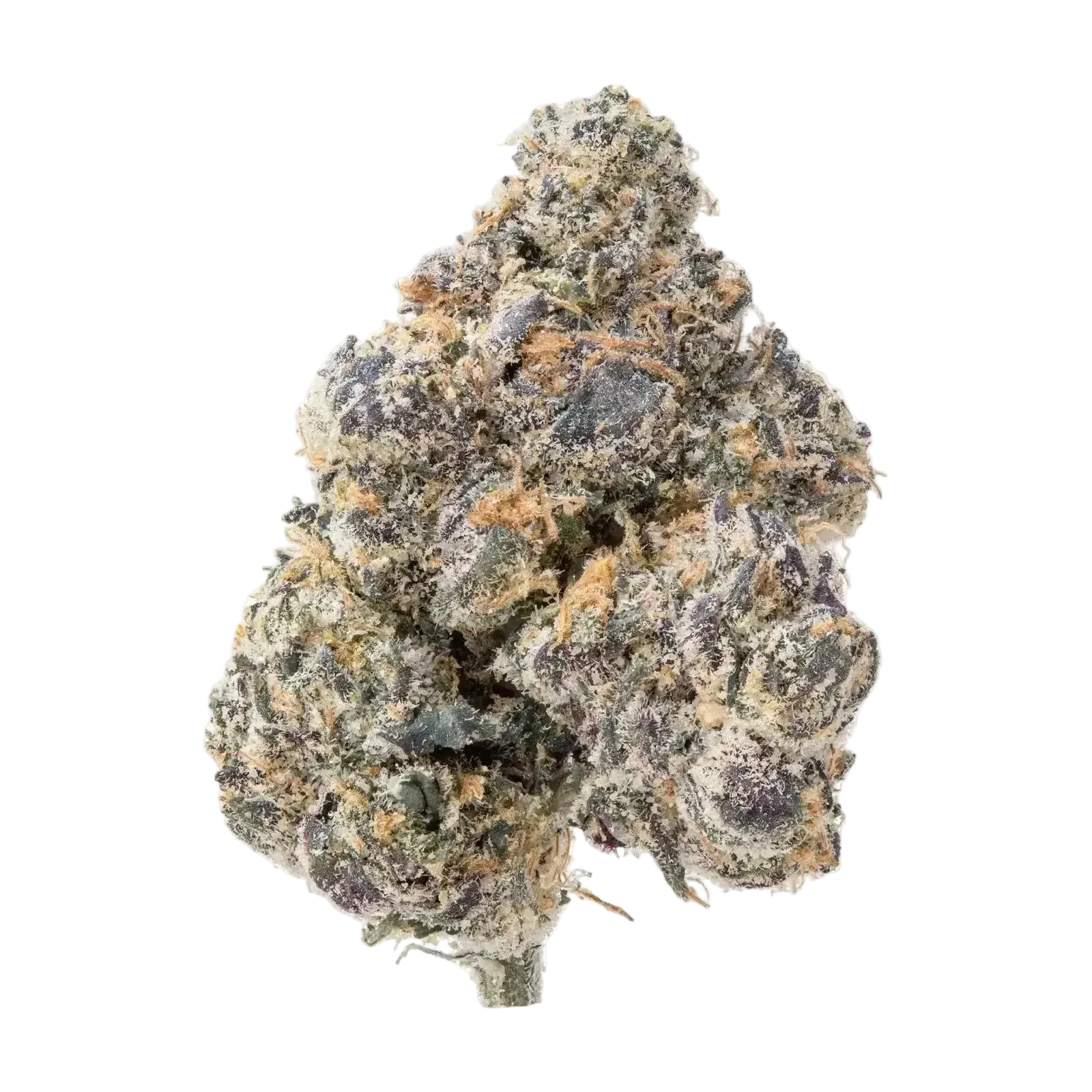 GMZ THCa Flower