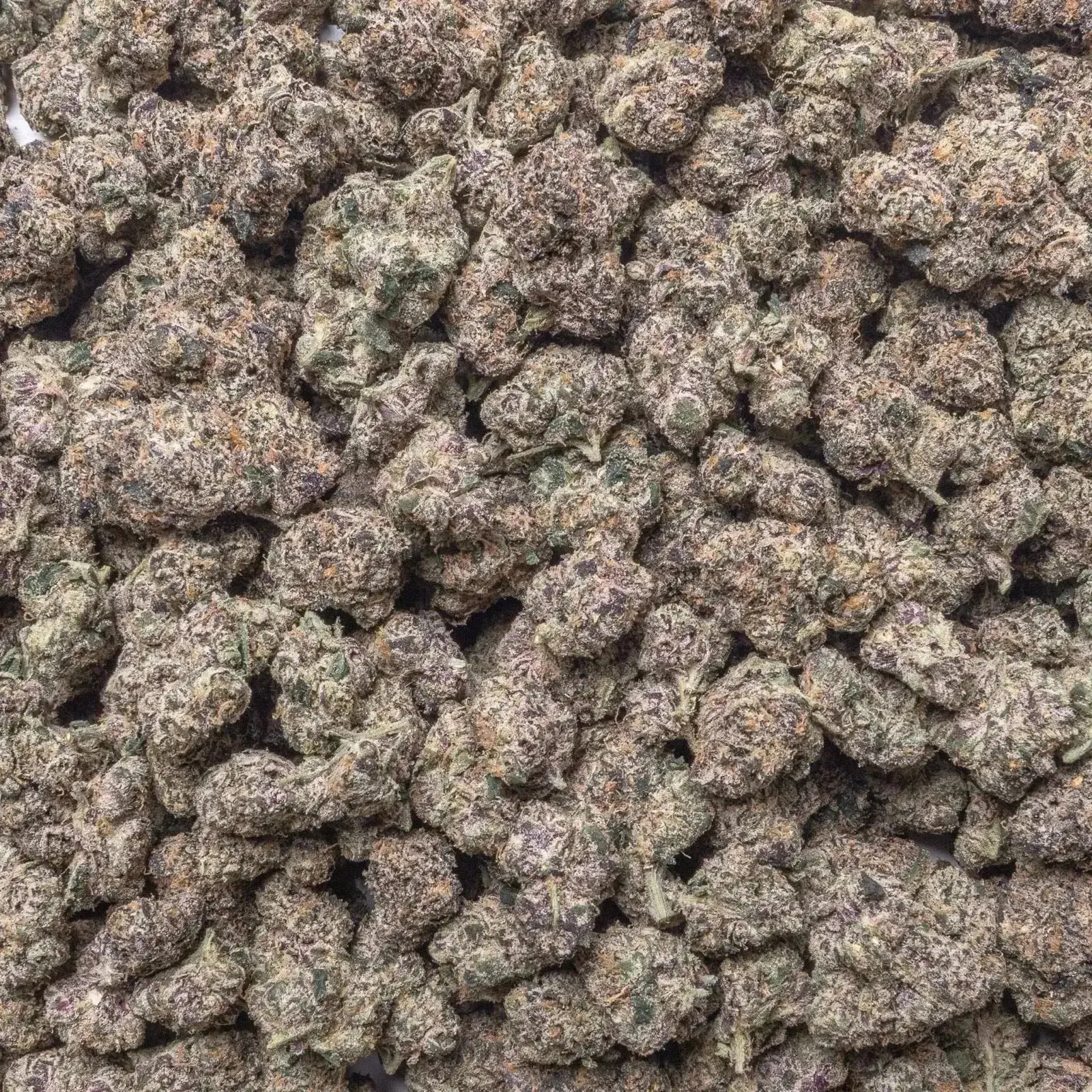 GMZ THCa Flower - Image 3