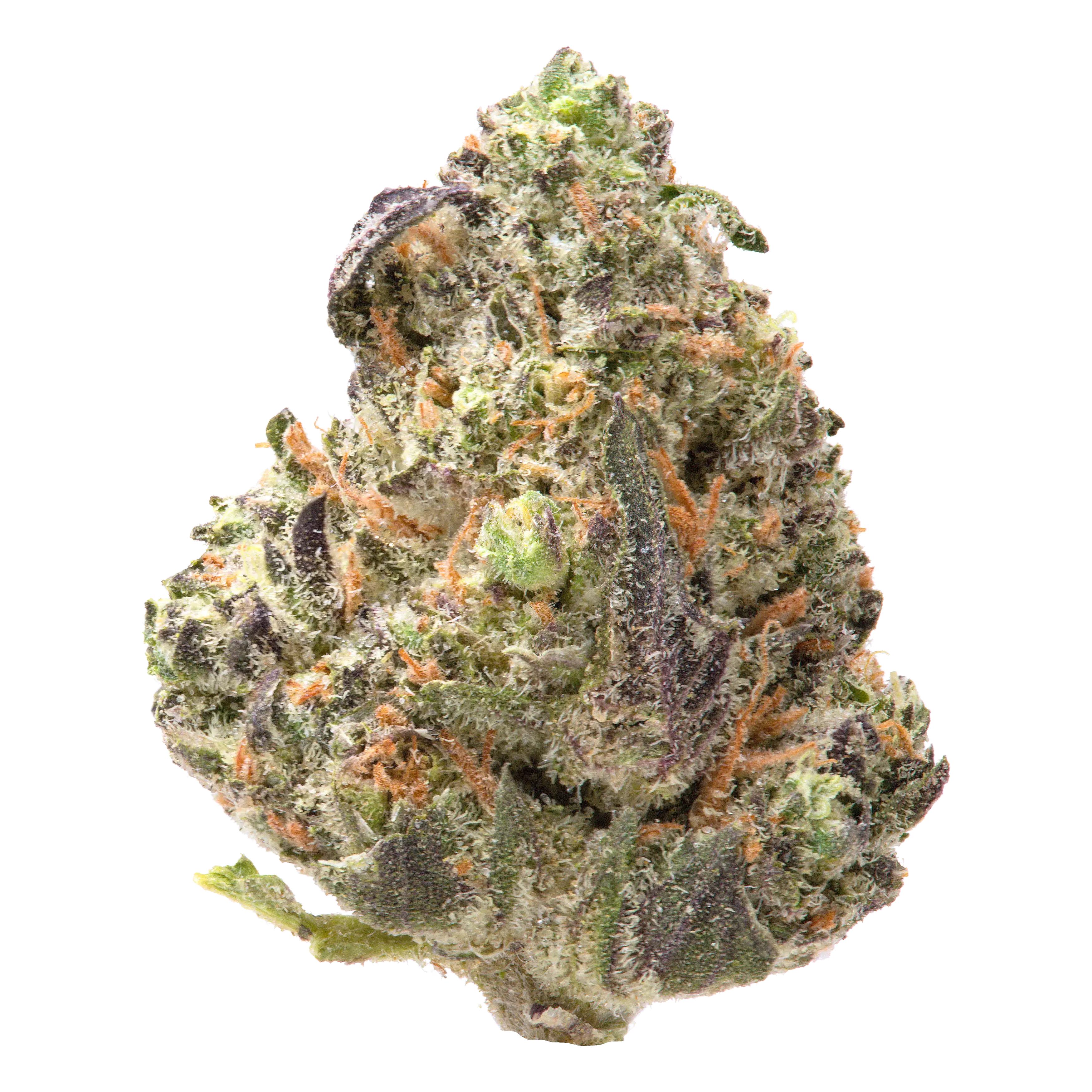 Governmint Oasis Smalls THCa Flower - Image 2