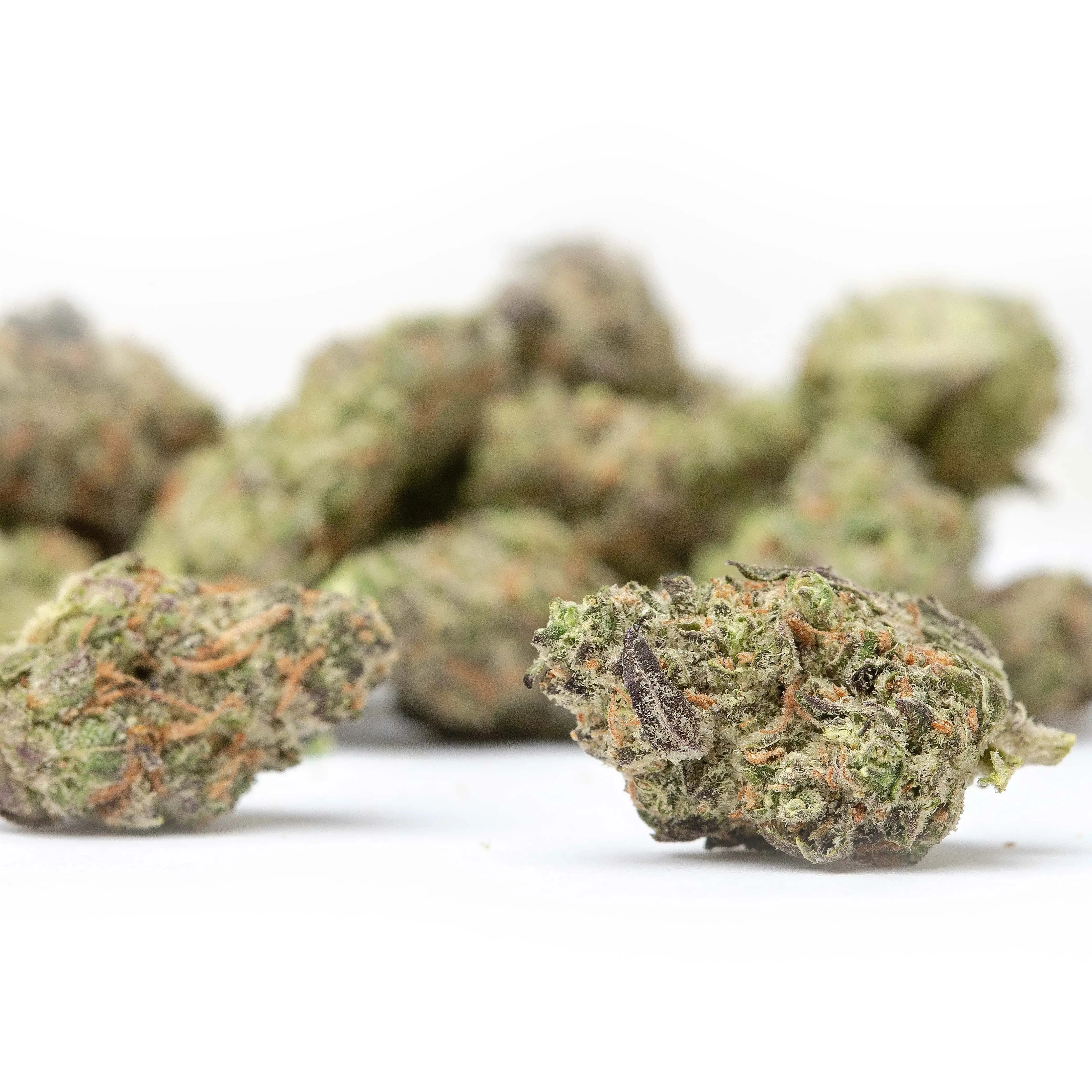 Governmint Oasis Smalls THCa Flower - Image 3