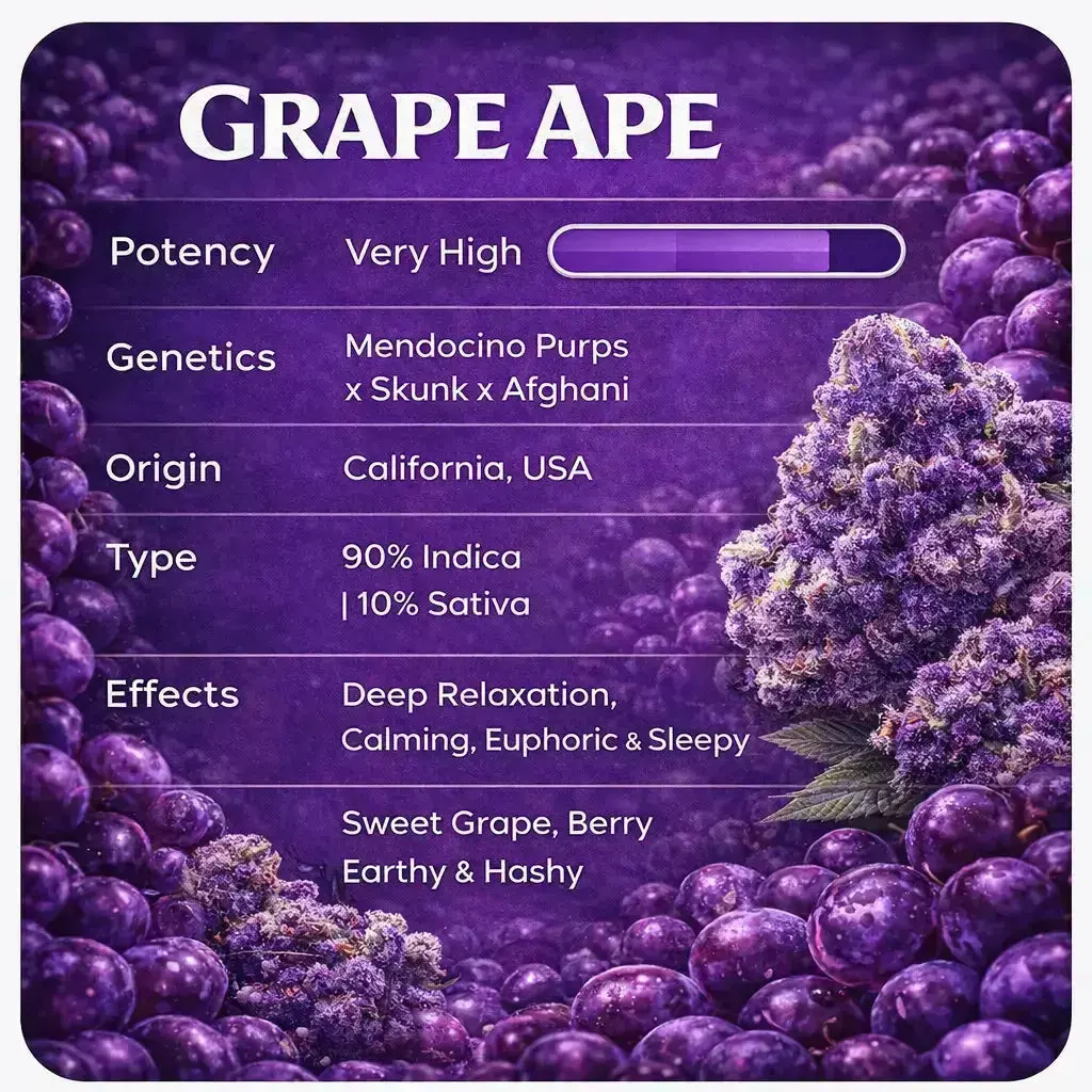 Grape Ape THCa Flower - Image 5