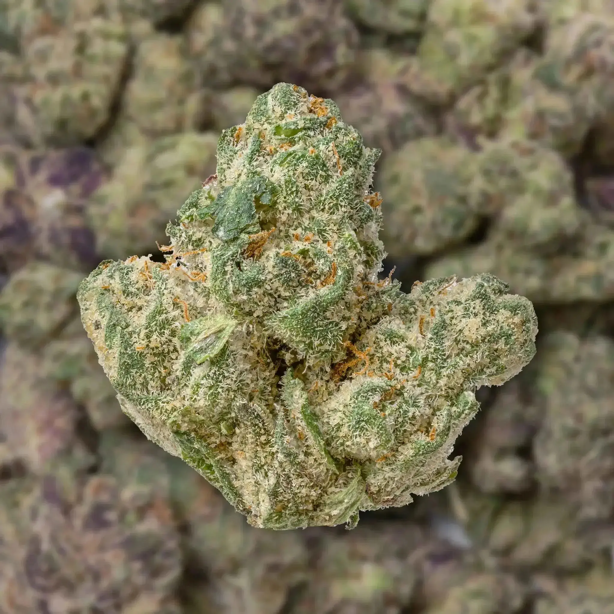 Grape Gas Smalls THCa Flower - Image 3