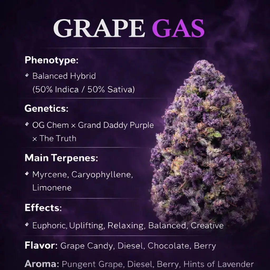 Grape Gas Smalls THCa Flower - Image 6