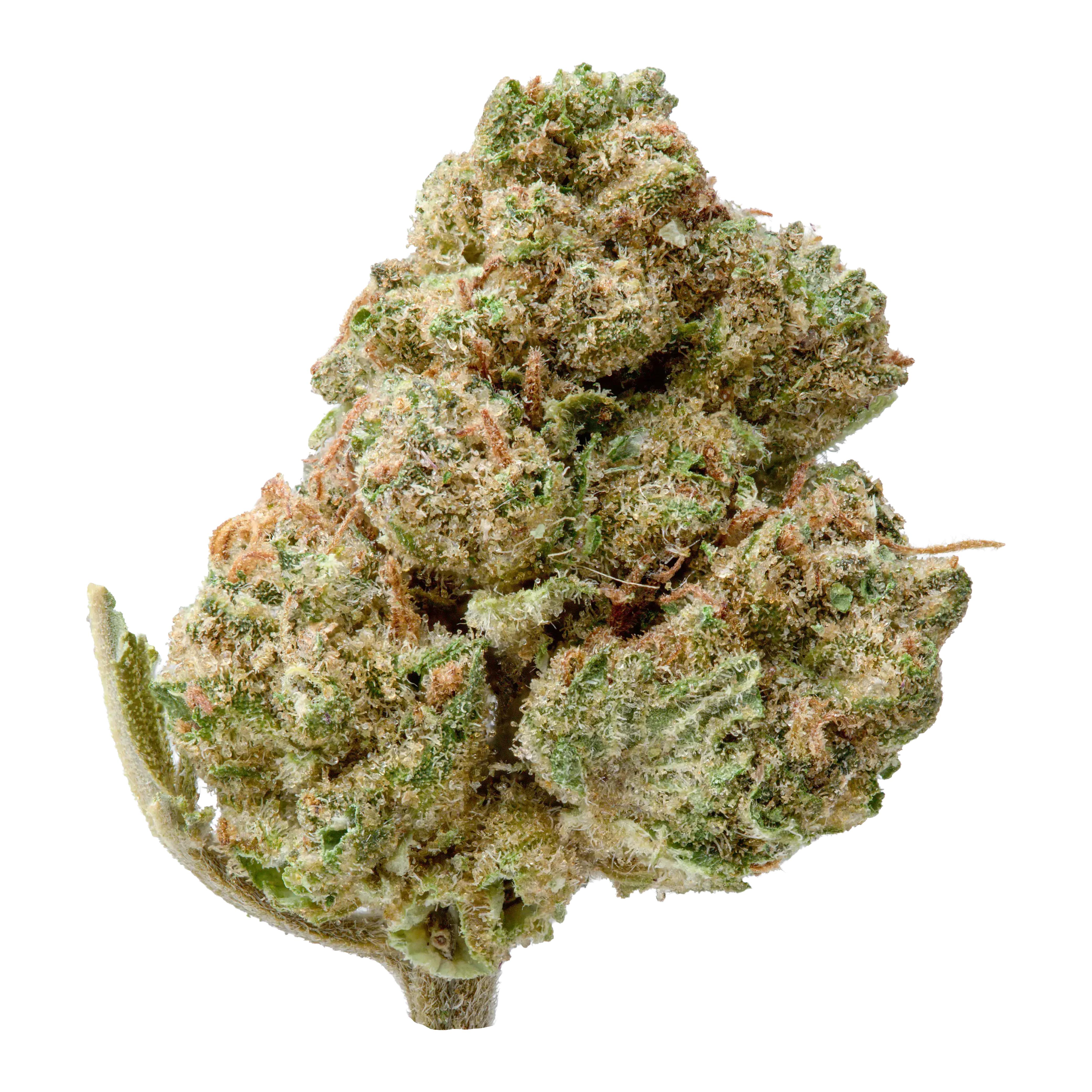 Greenhouse Smalls THCA Flower - Image 5