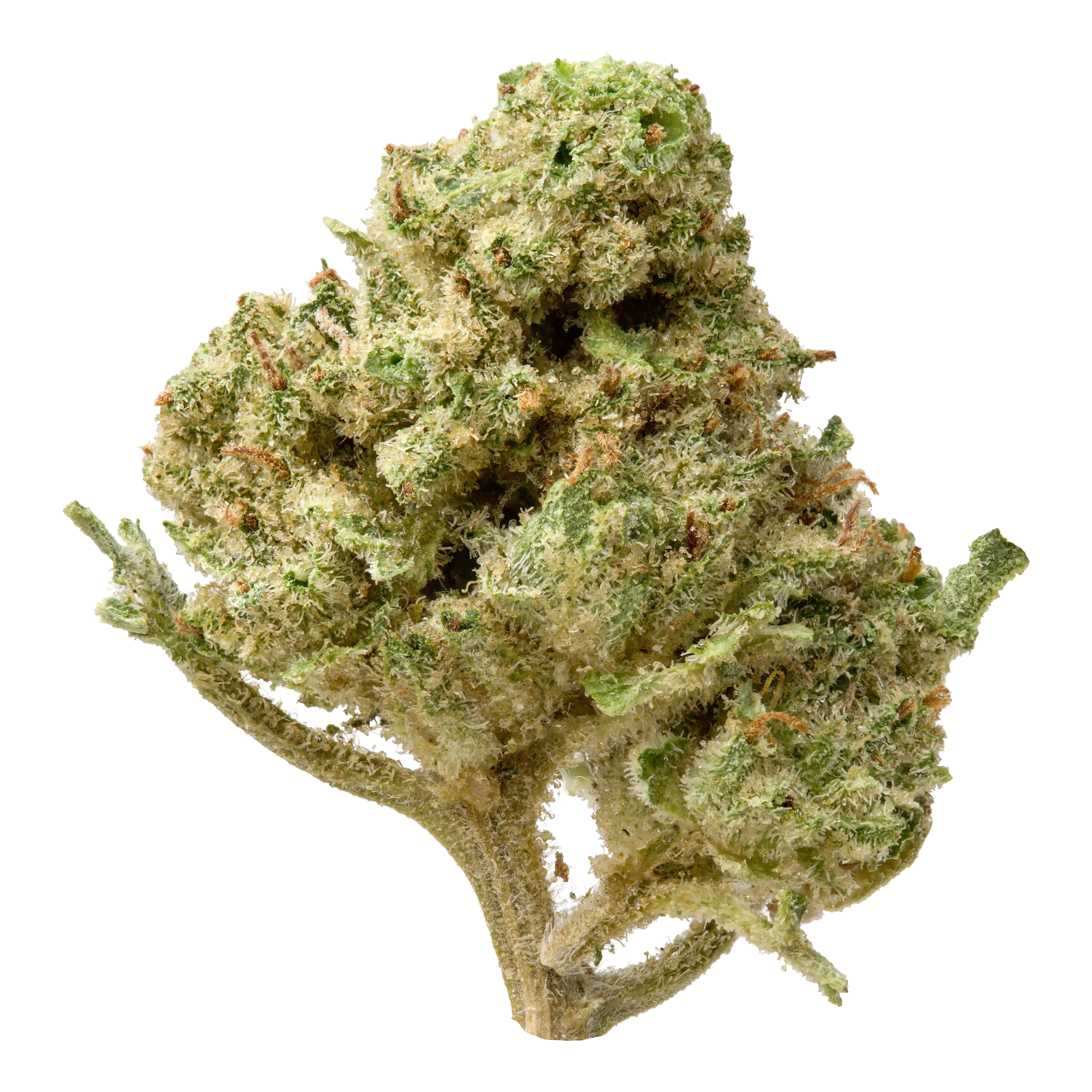 Greenhouse Smalls THCA Flower - Image 8