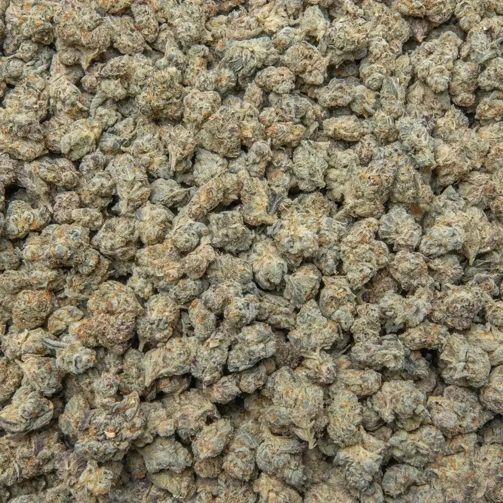 Guava THCa Flower - Image 6