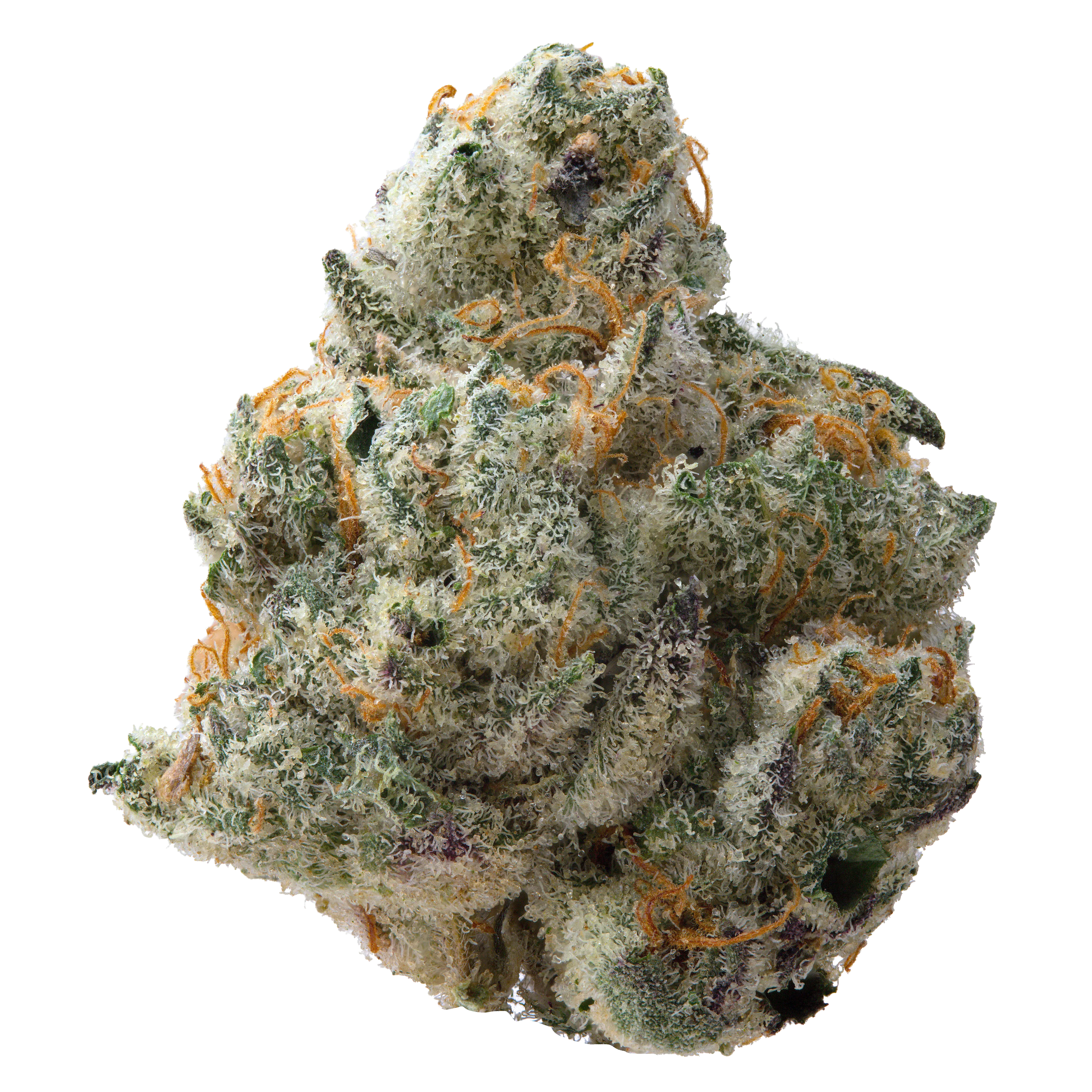 Guava Smalls THCa Flower - Image 2