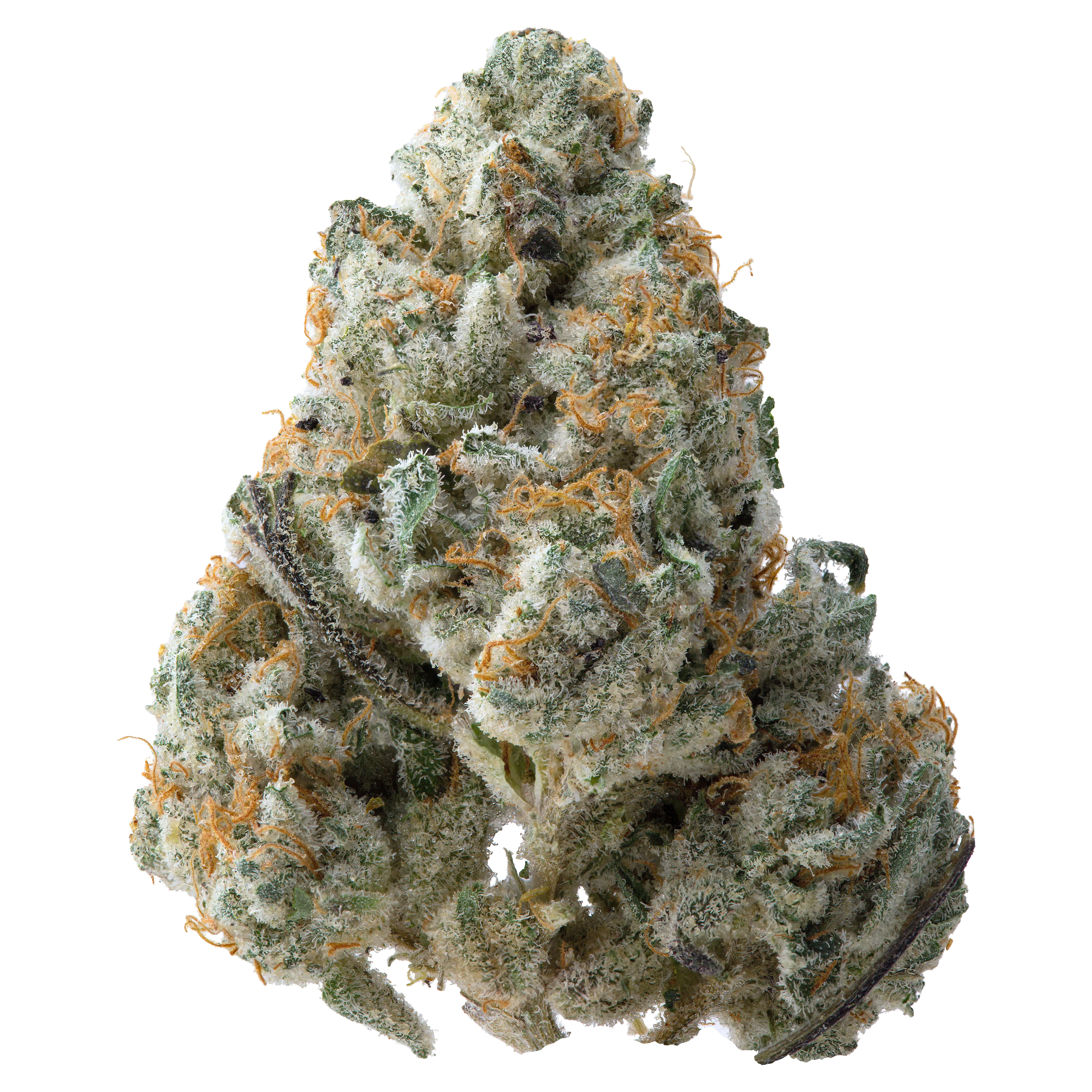 Guava THCa Flower - Image 2