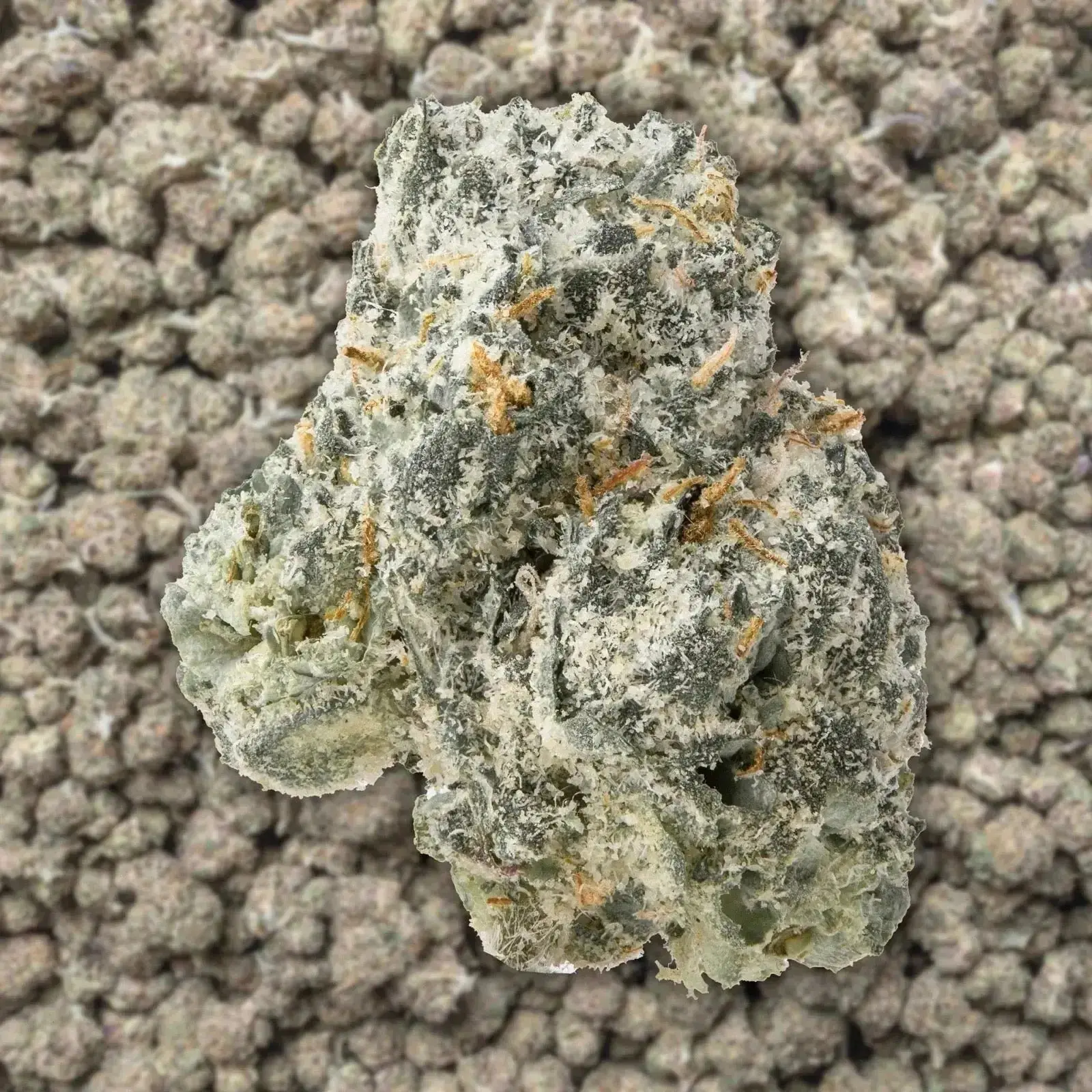Gumbo Smalls THCa Flower - Image 3