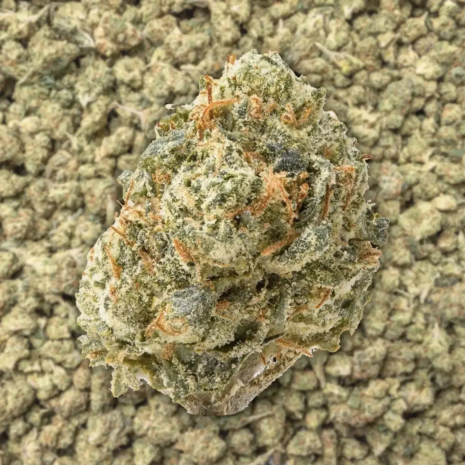 Gushers Smalls THCa Flower 3.5 Grams - Image 3