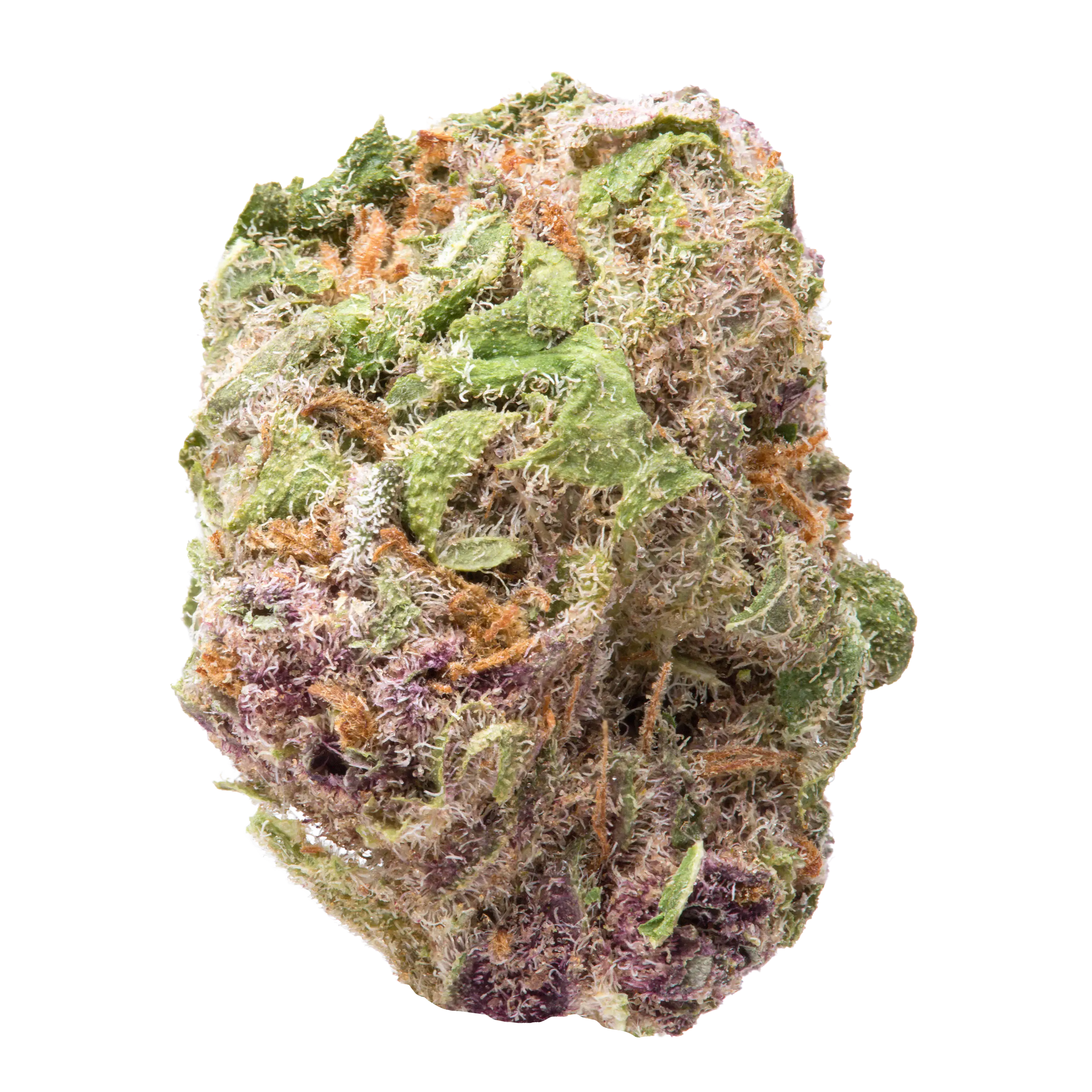 Iced Lemonade Smalls THCa Flower - Image 2