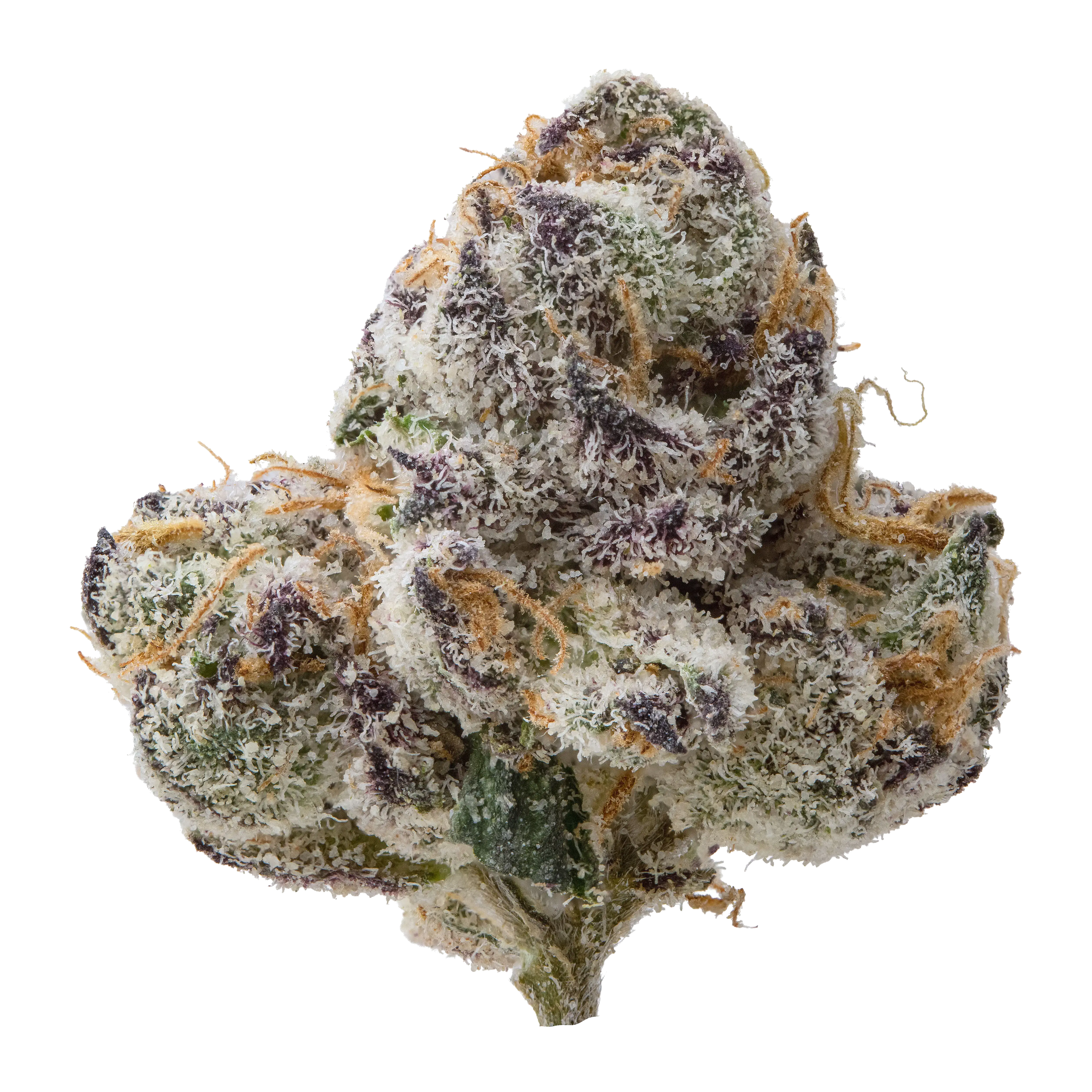 Lemon Cherry Belts Smalls THCa Flower - Image 5