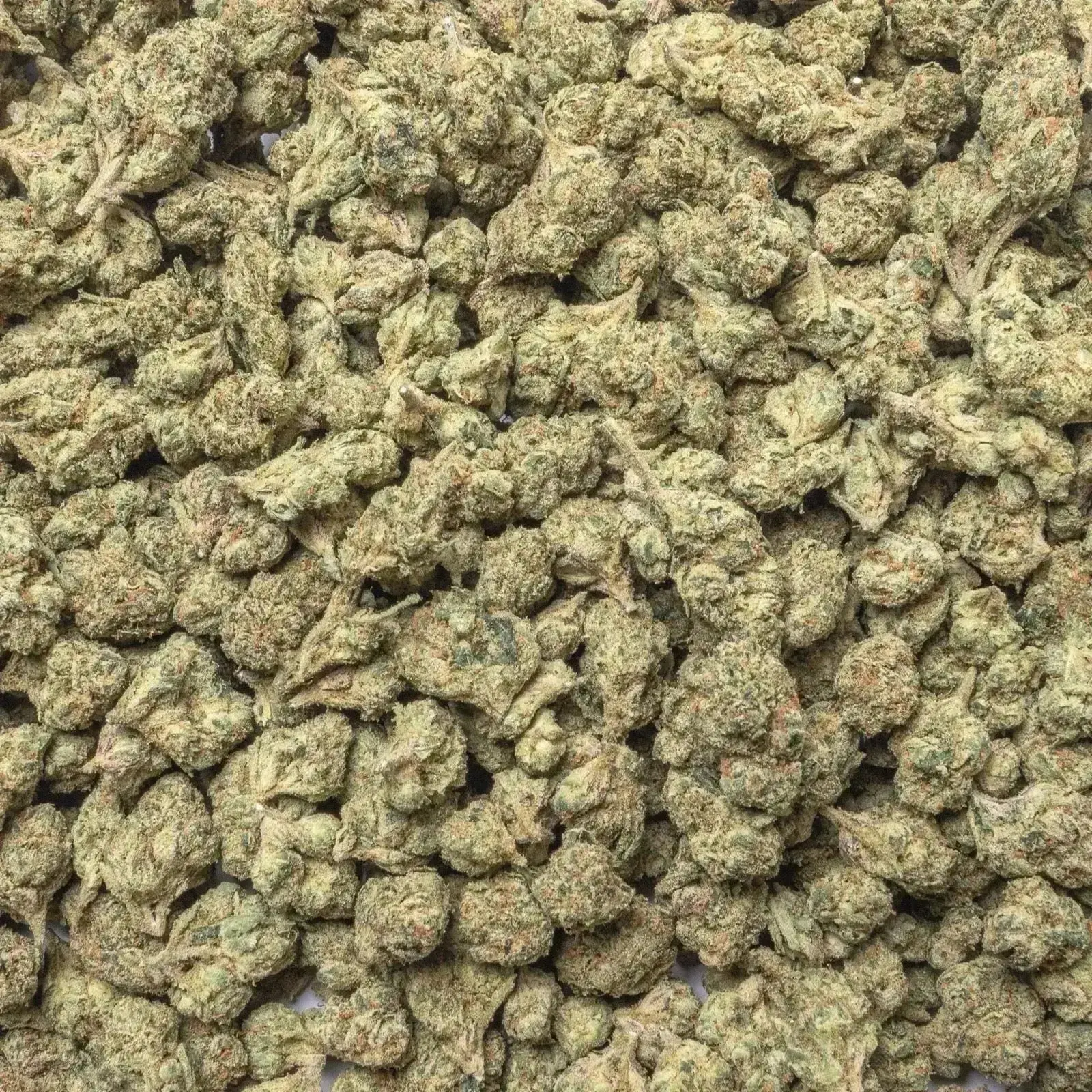 Lemon Cherry Gelato THCa Flower 3.5 Grams - Image 5