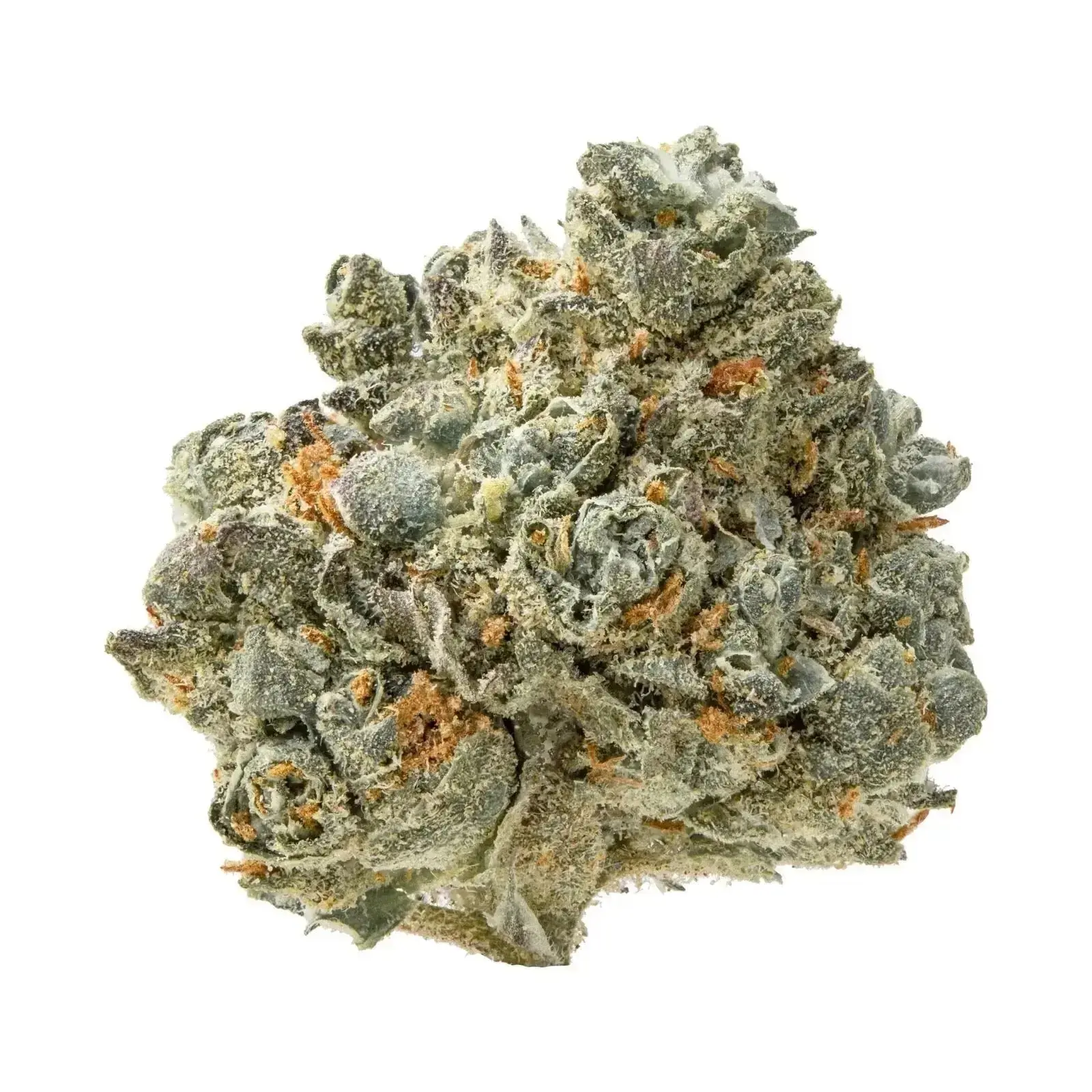 Lemon Pound Cake Smalls THCa Flower - Image 2