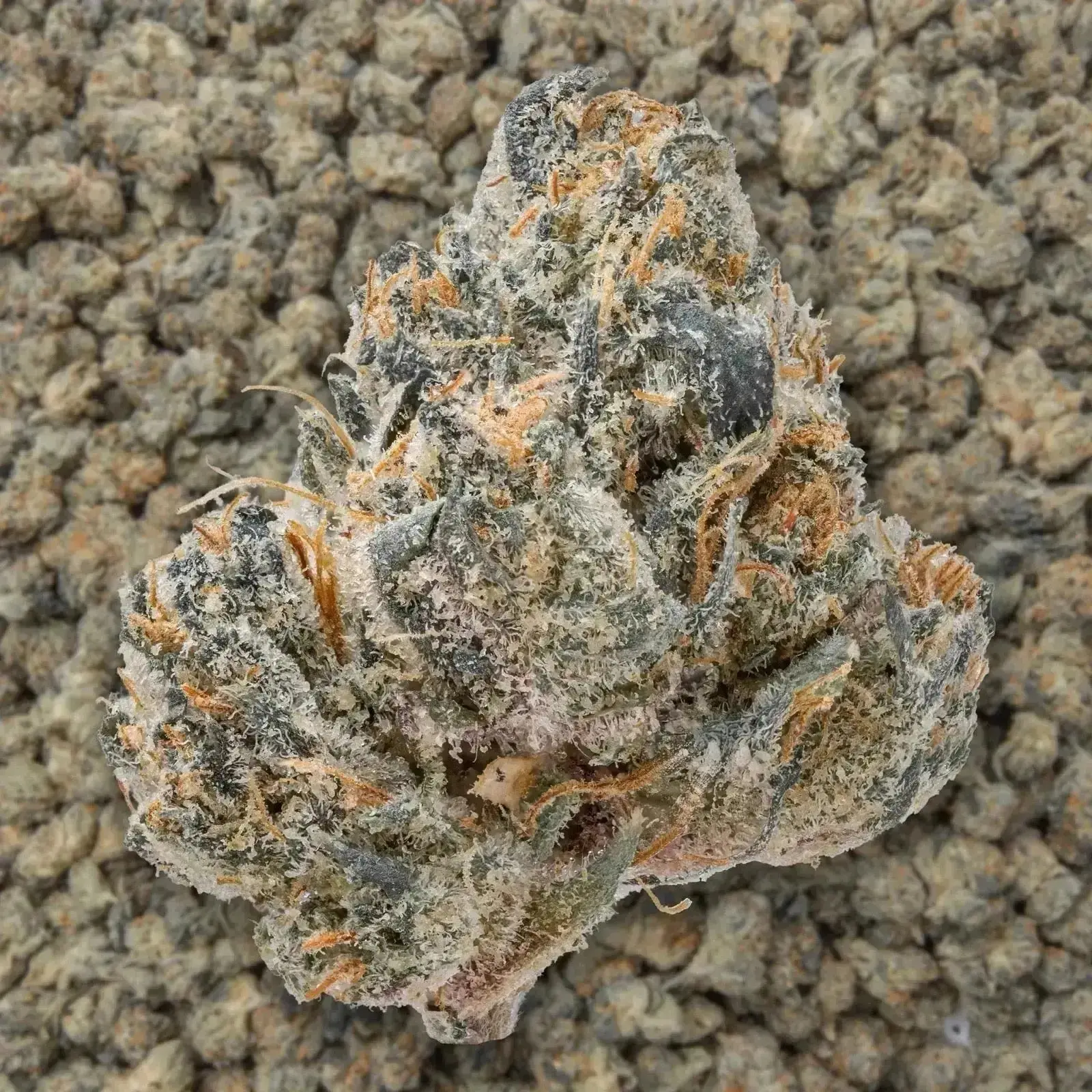 Lip Smacker Smalls THCa Flower - Image 3