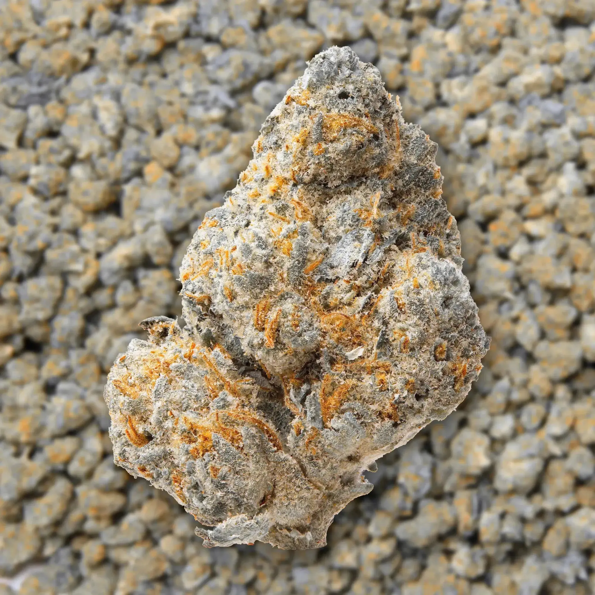 Northern Lights Smalls THCa Flower - Image 3